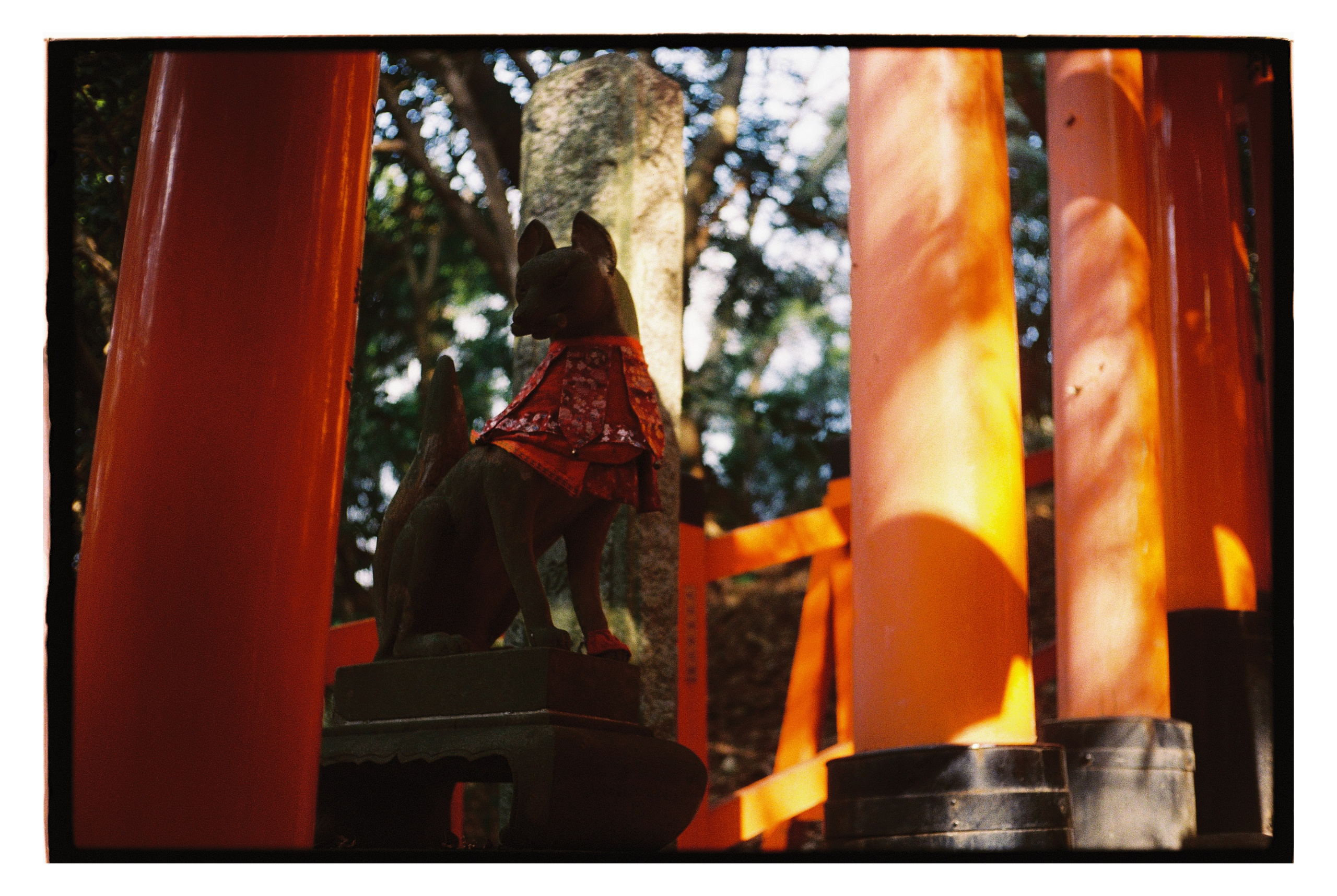 Japan. @tomrus: Рустам Шагиморданов — фотограф