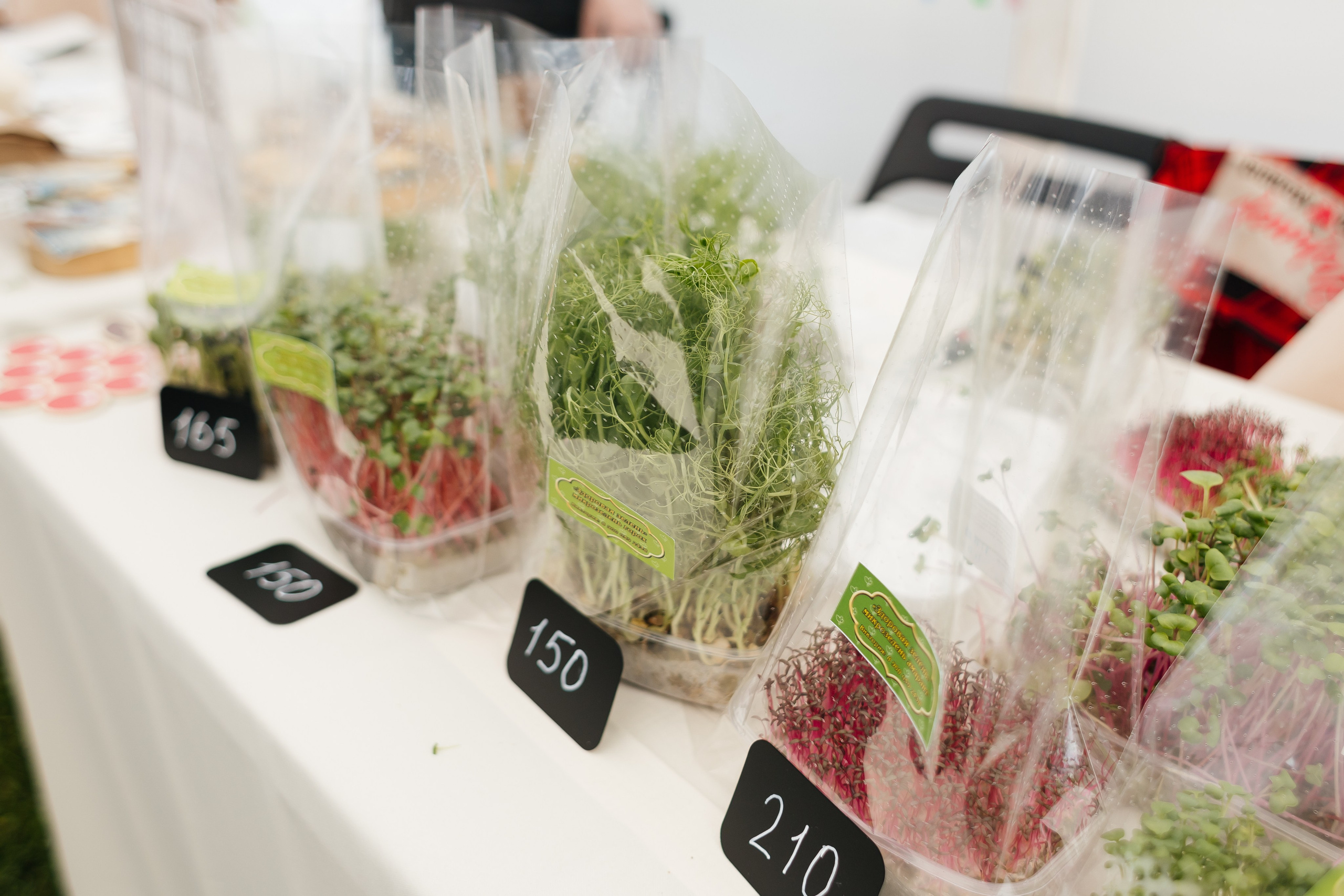 Спартакиада Волковгрупп. Фотограф Кемерово | Сергей