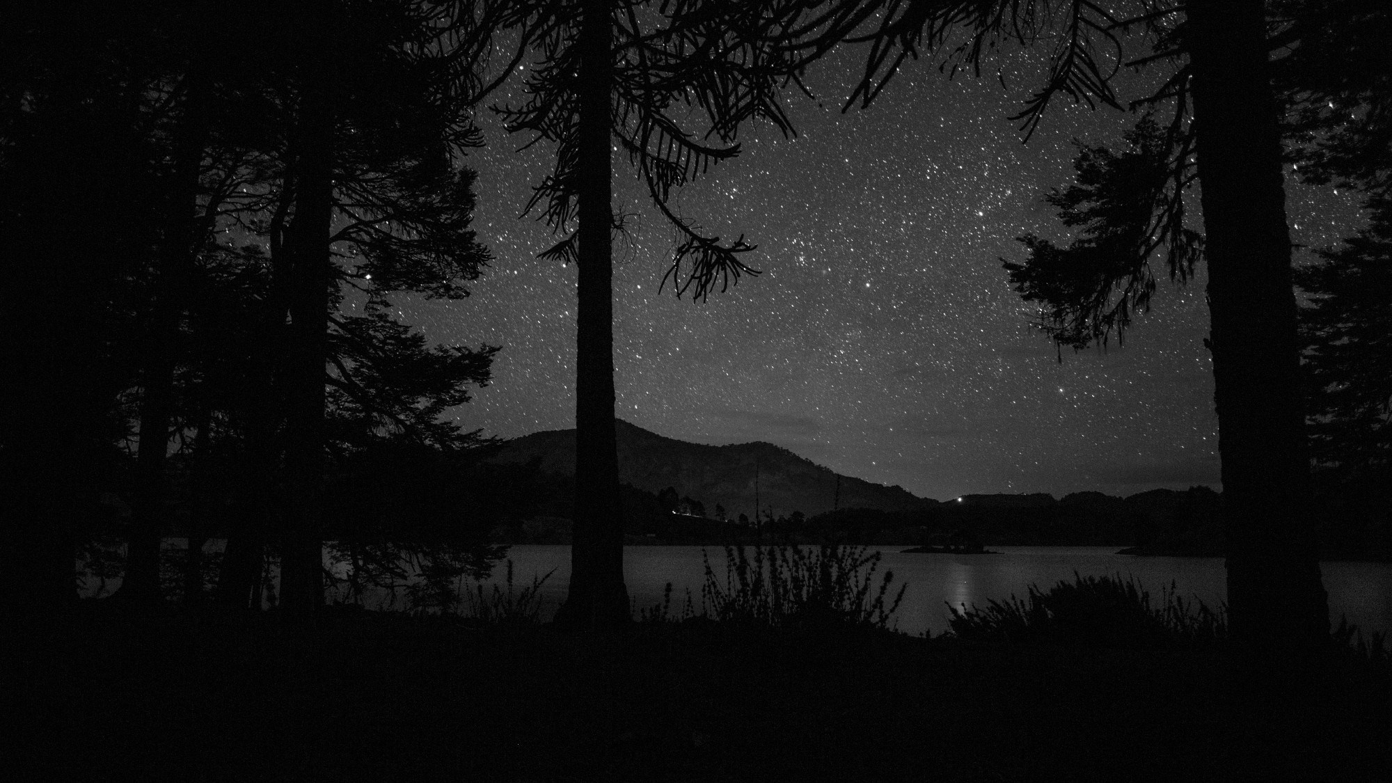 LANDSCAPE. Portrait and business photographer in Moscow Andrey Nikolsky