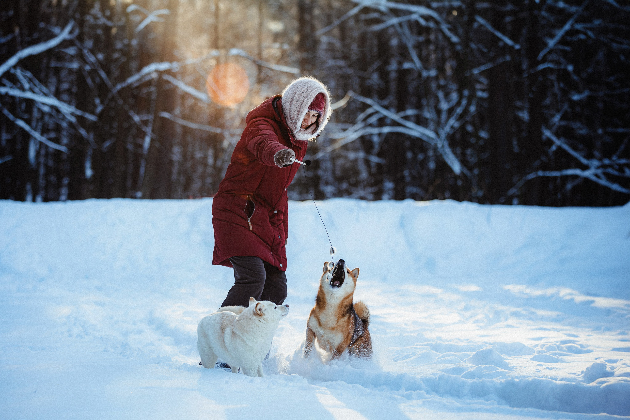 Шед, Цири и Ира