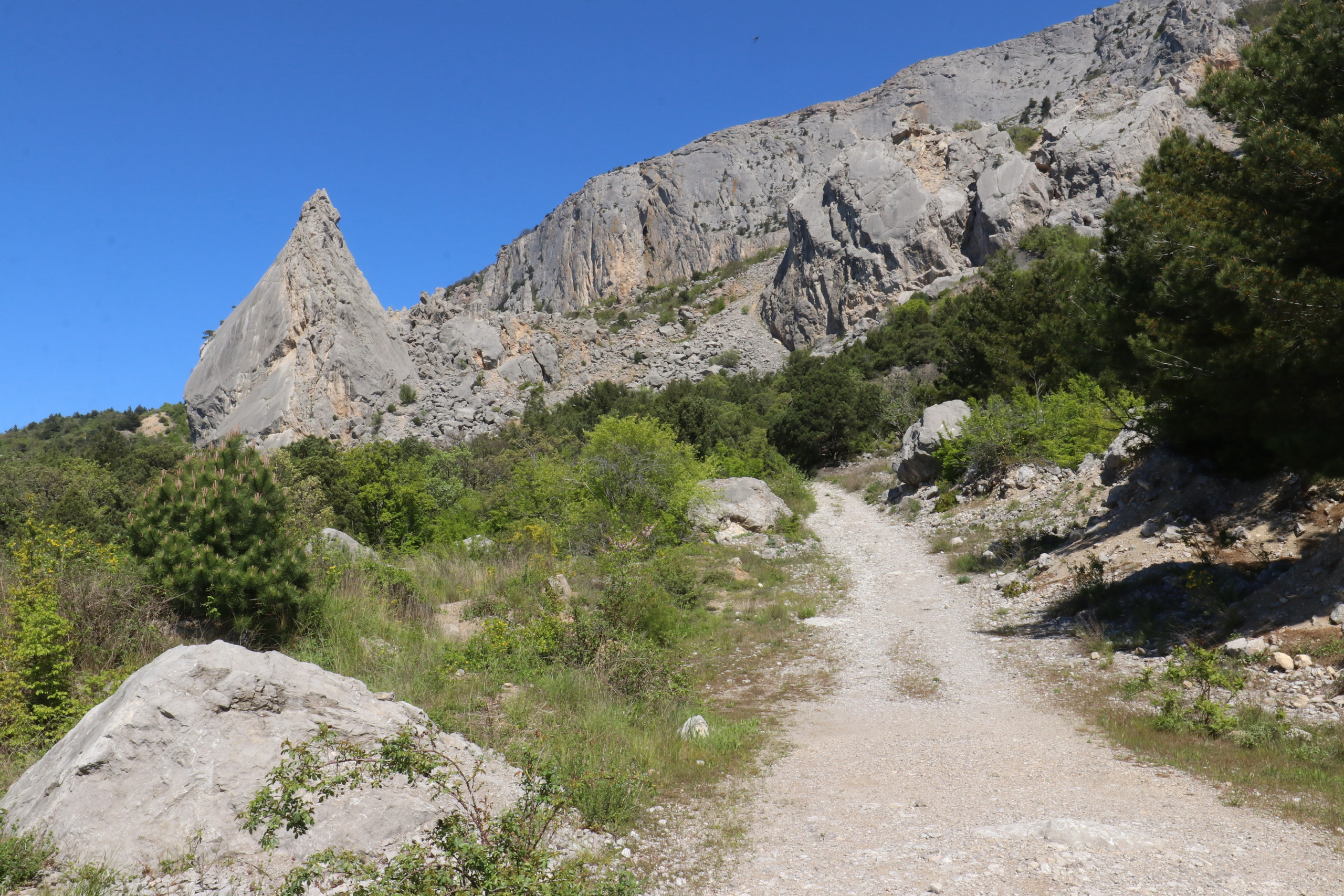 Крым. ЮБК (Севастополь, Кастрополь, Ялта). Май 2023. Путешественник-фотограф из Санкт-Петербурга Татьяна Свистулина