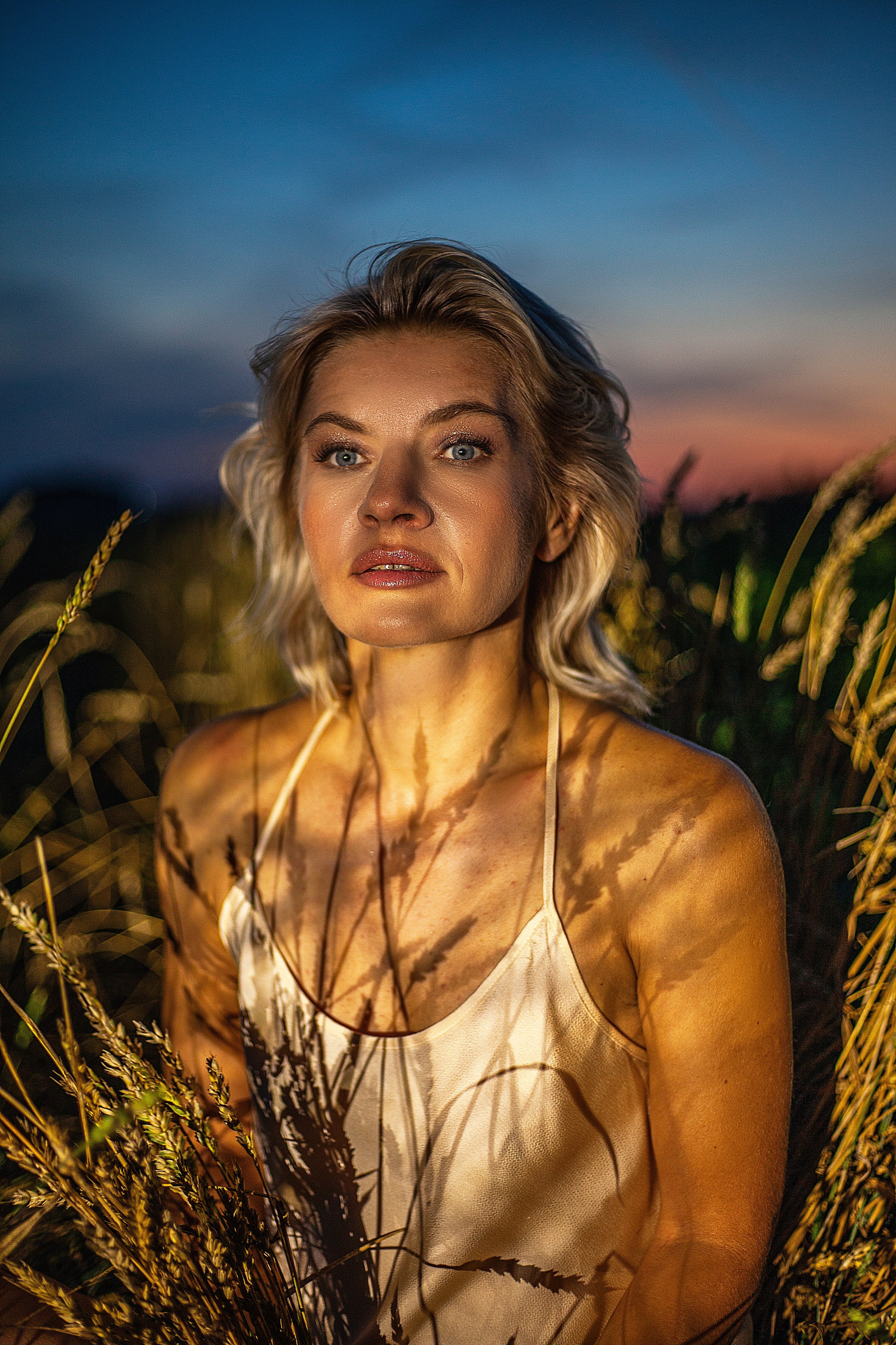 Подсолнухи!