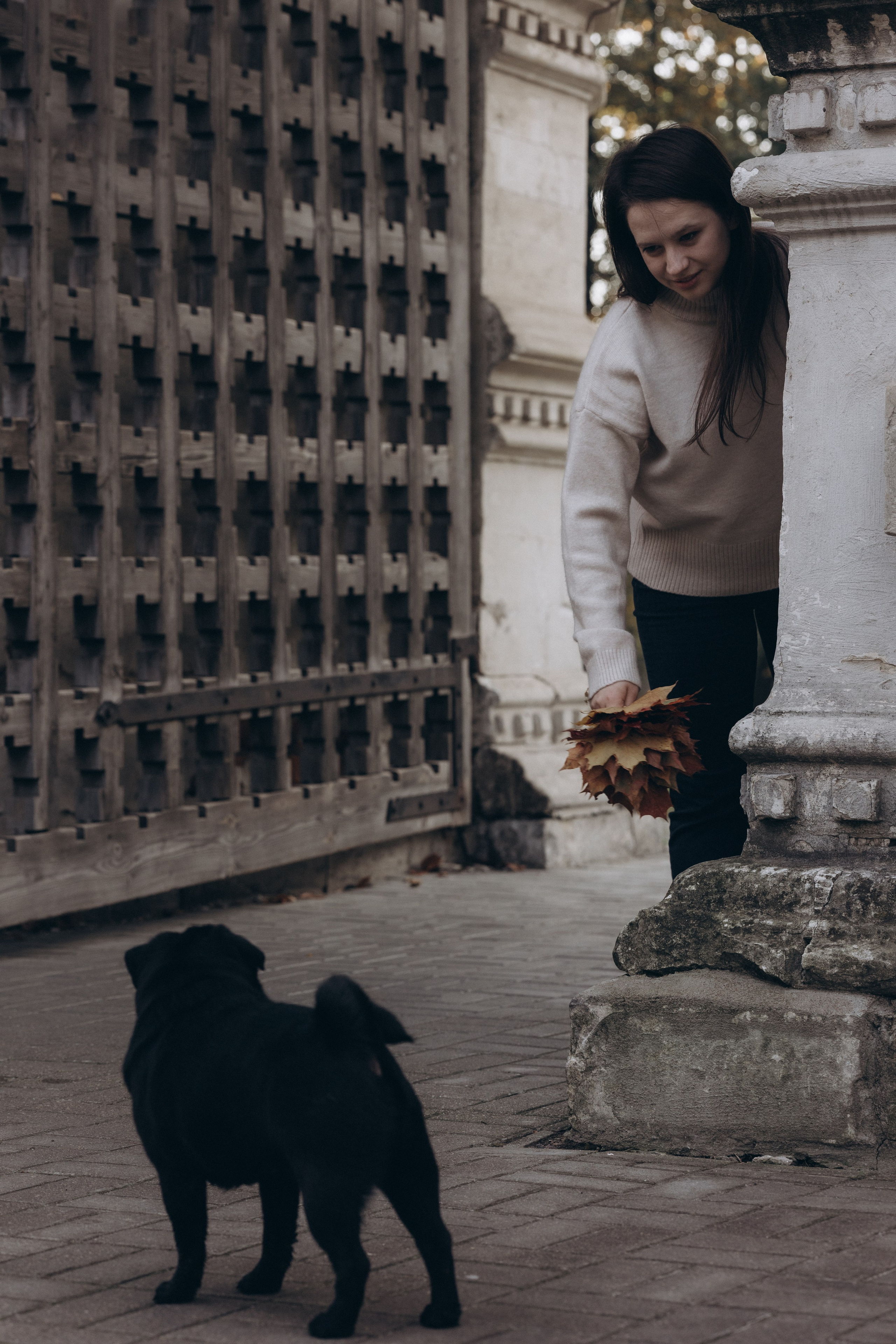 Варя, Ваня и Чарли. Татьяна Афонина | Фотограф