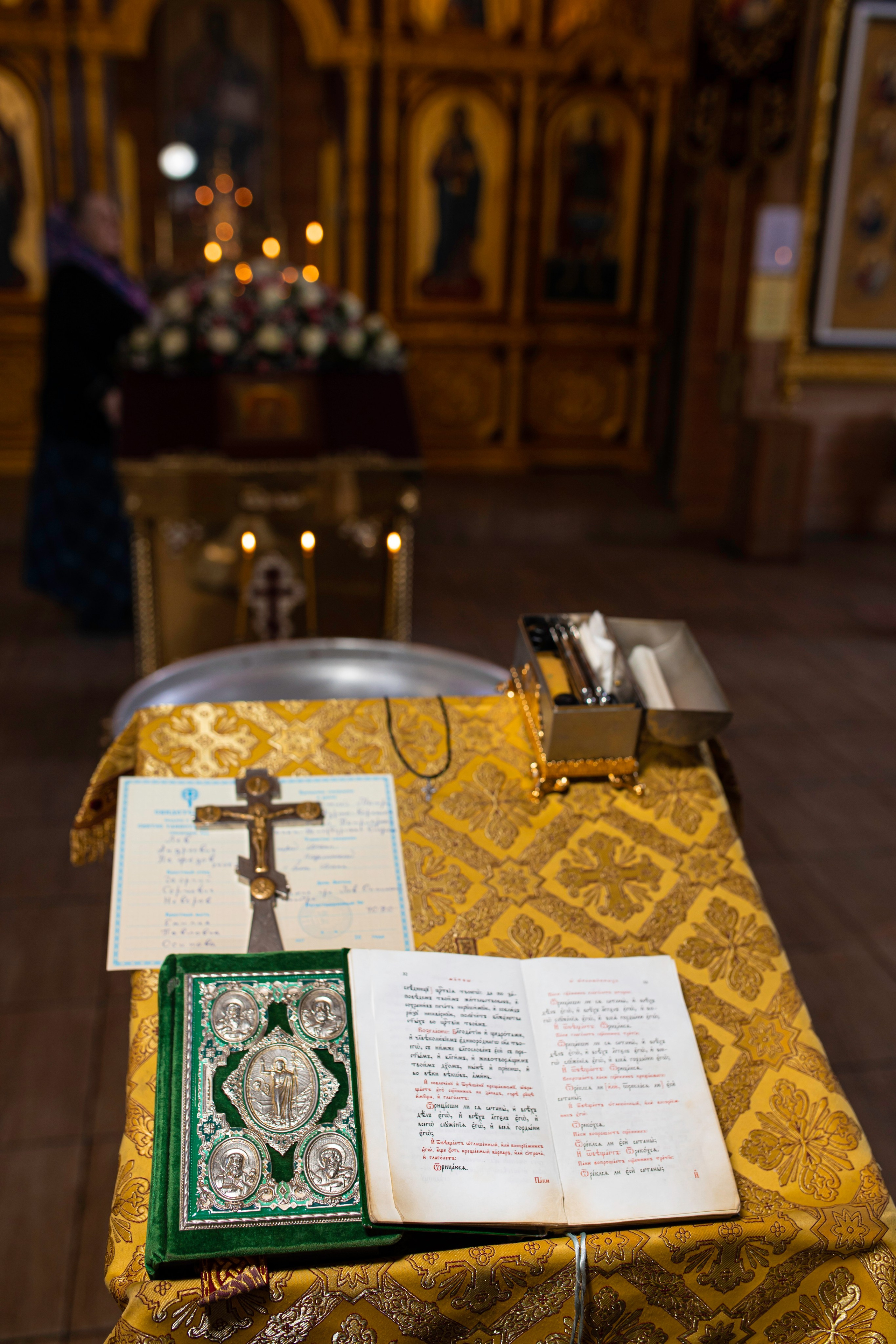 Лев. Фотограф на праздник, корпоратив, День Рождения и Юбилей в г. Санкт-Петербурге Алексей Анкушев