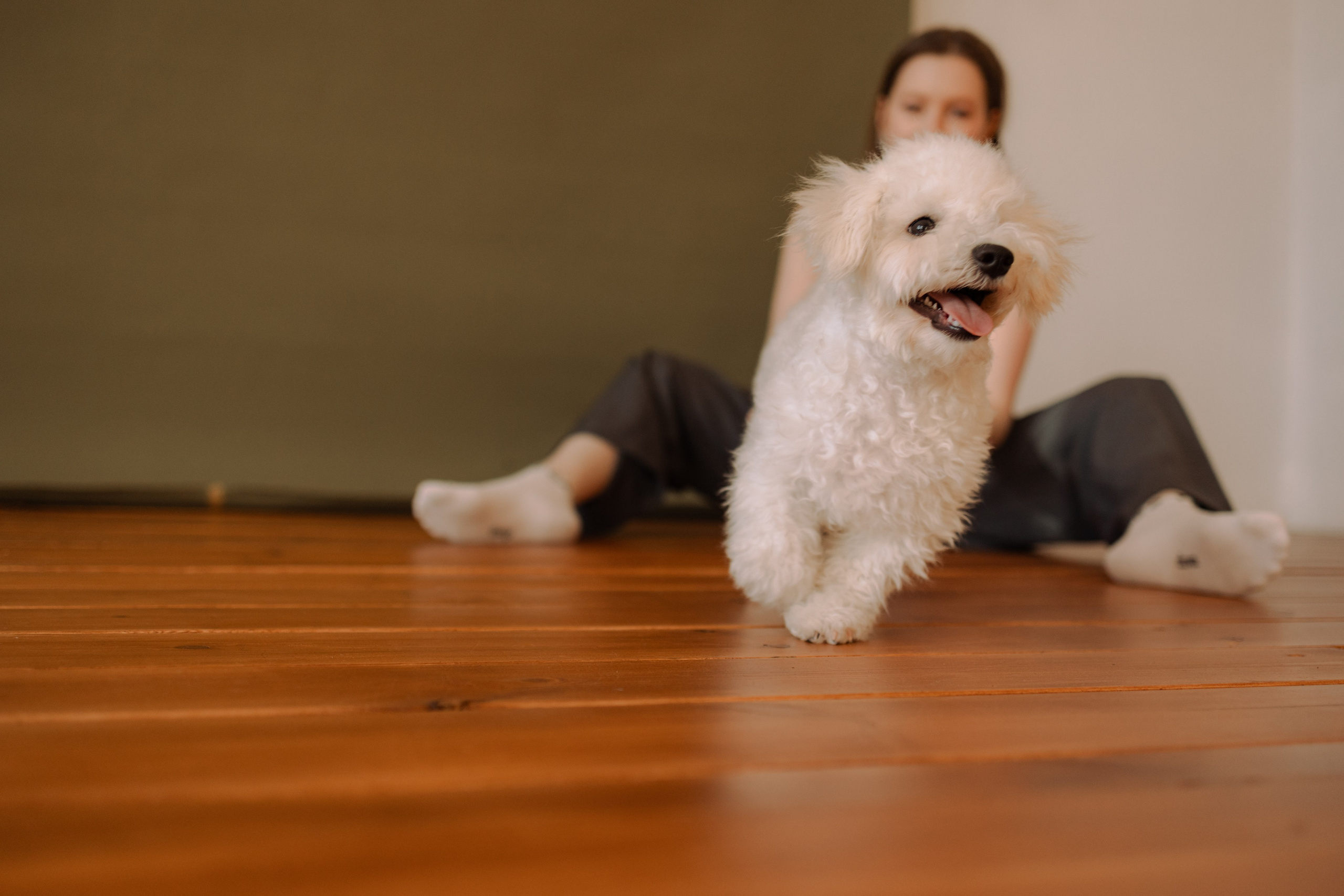 Луна и ее семья. Фотограф — Анималист | Санкт-Петербург