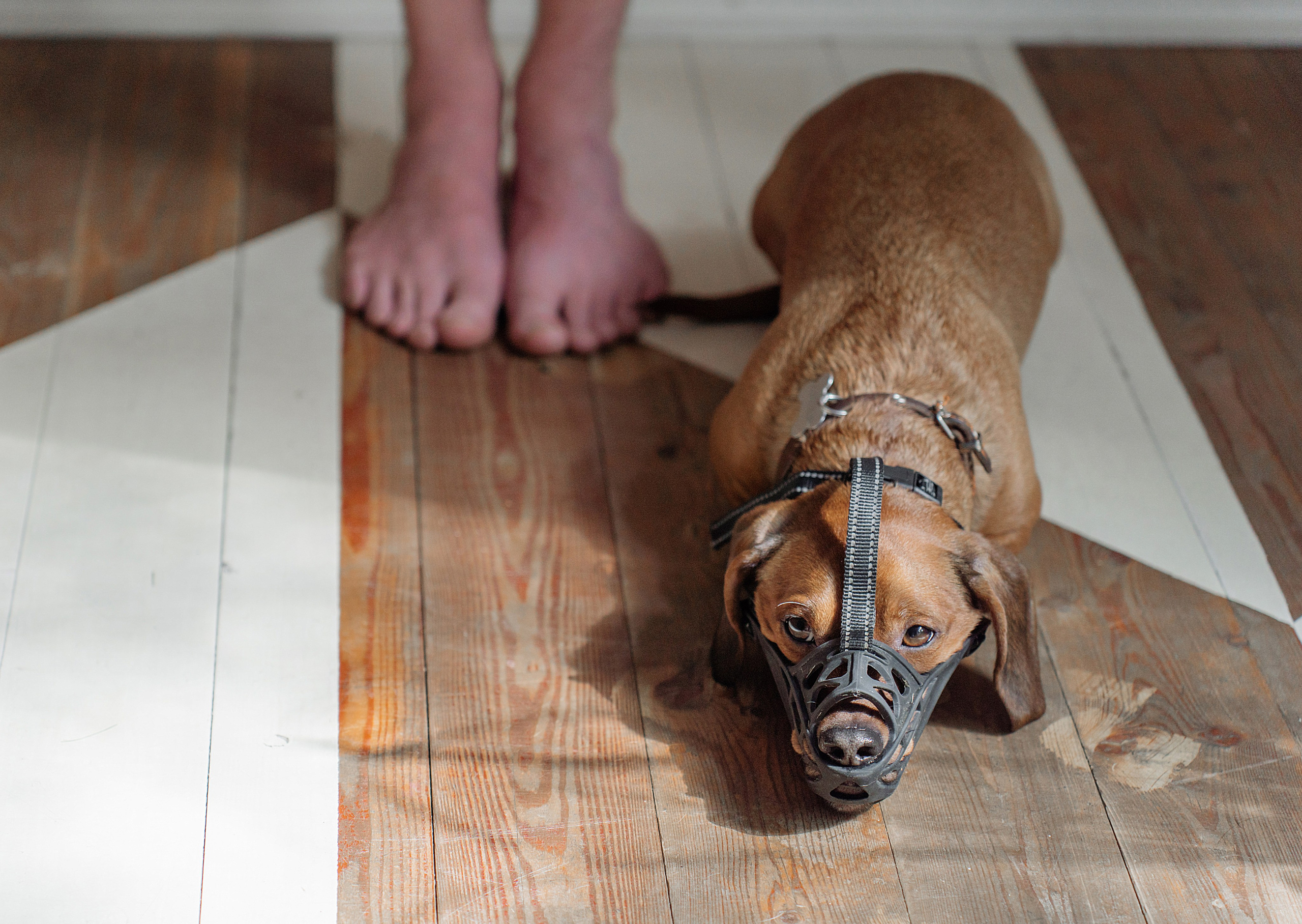 Клкллкаккк. Свадебный фотограф