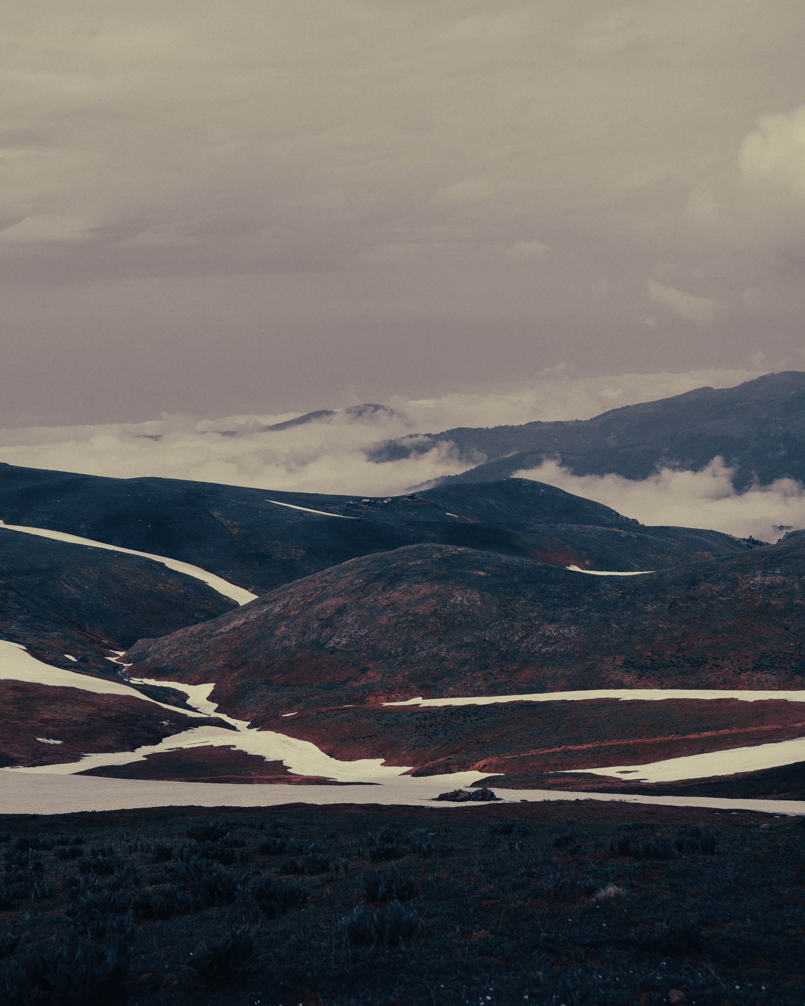 ГОМИС МТА. Photographer Barcelona