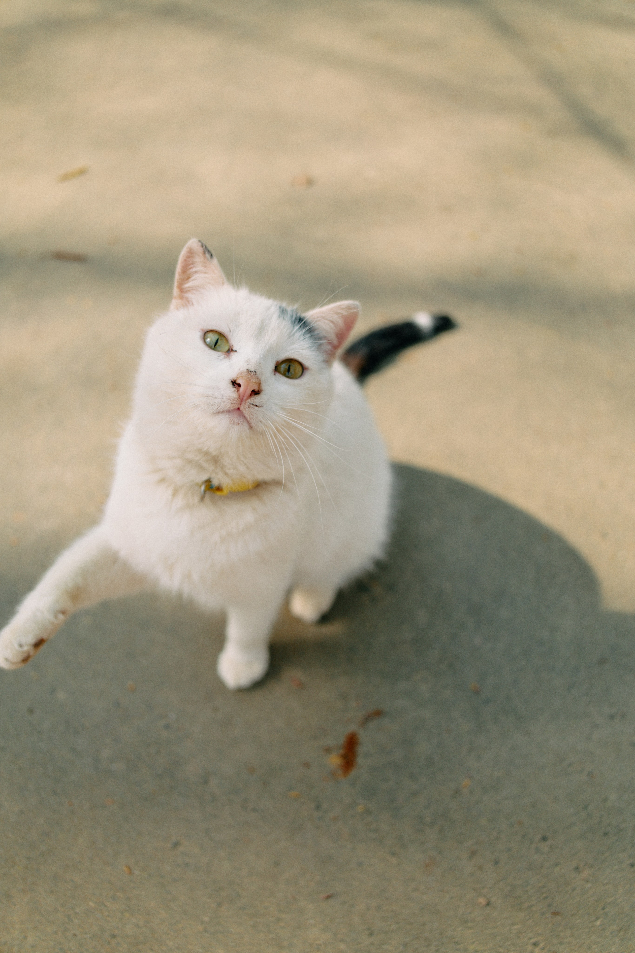 Бутик-отель Поле летом. Профессиональный Фотограф во Владимире, в Москве и в Суздале — Полина Романычева