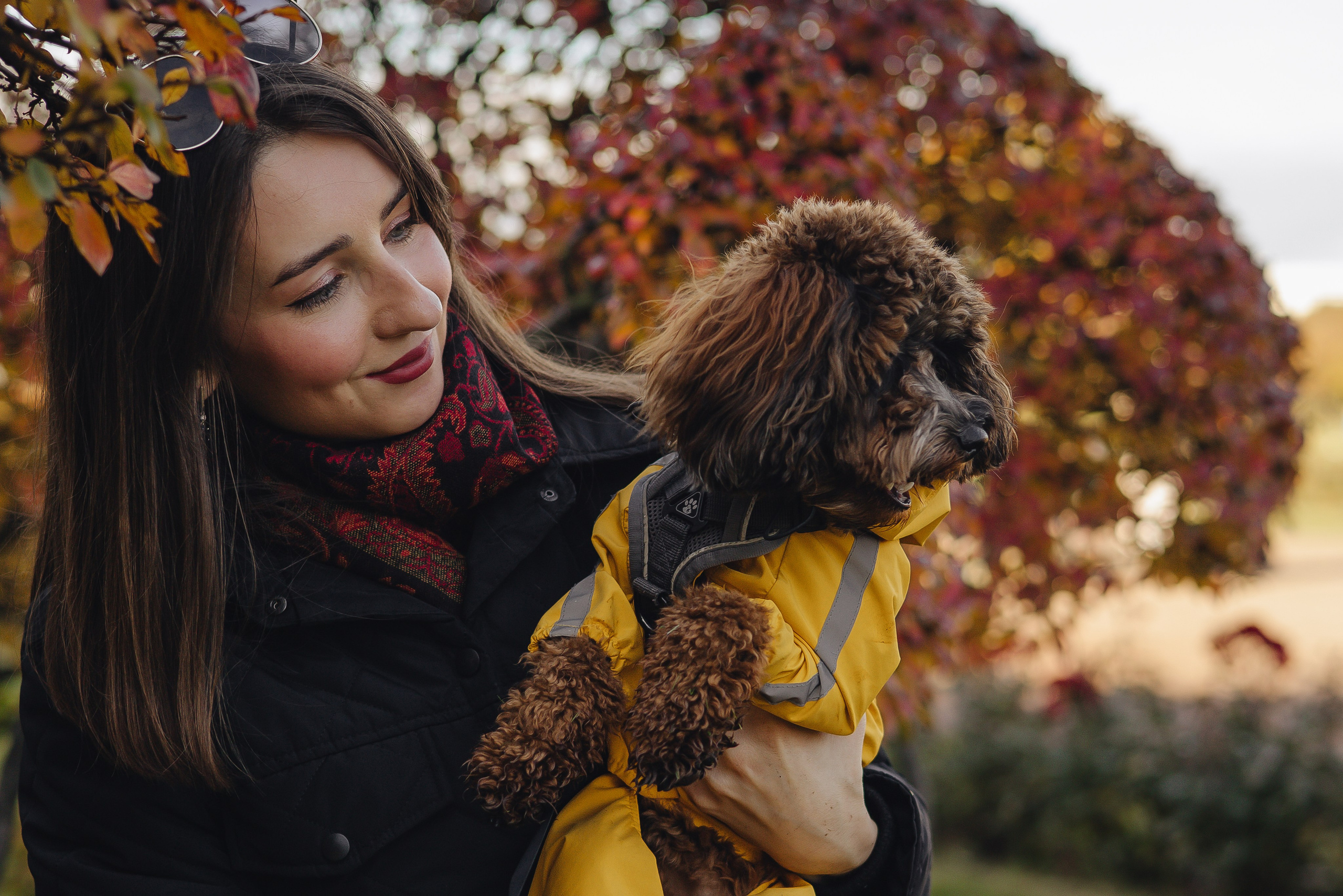 Летающая Мерси