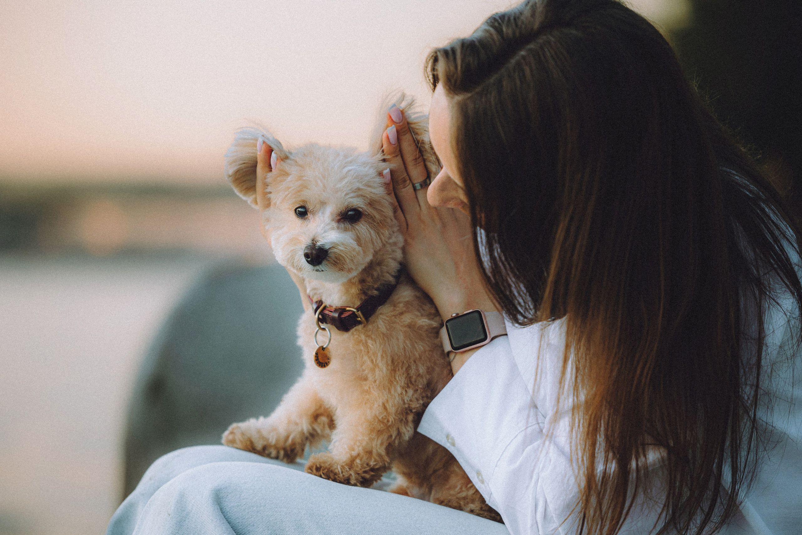 Настя и Симба