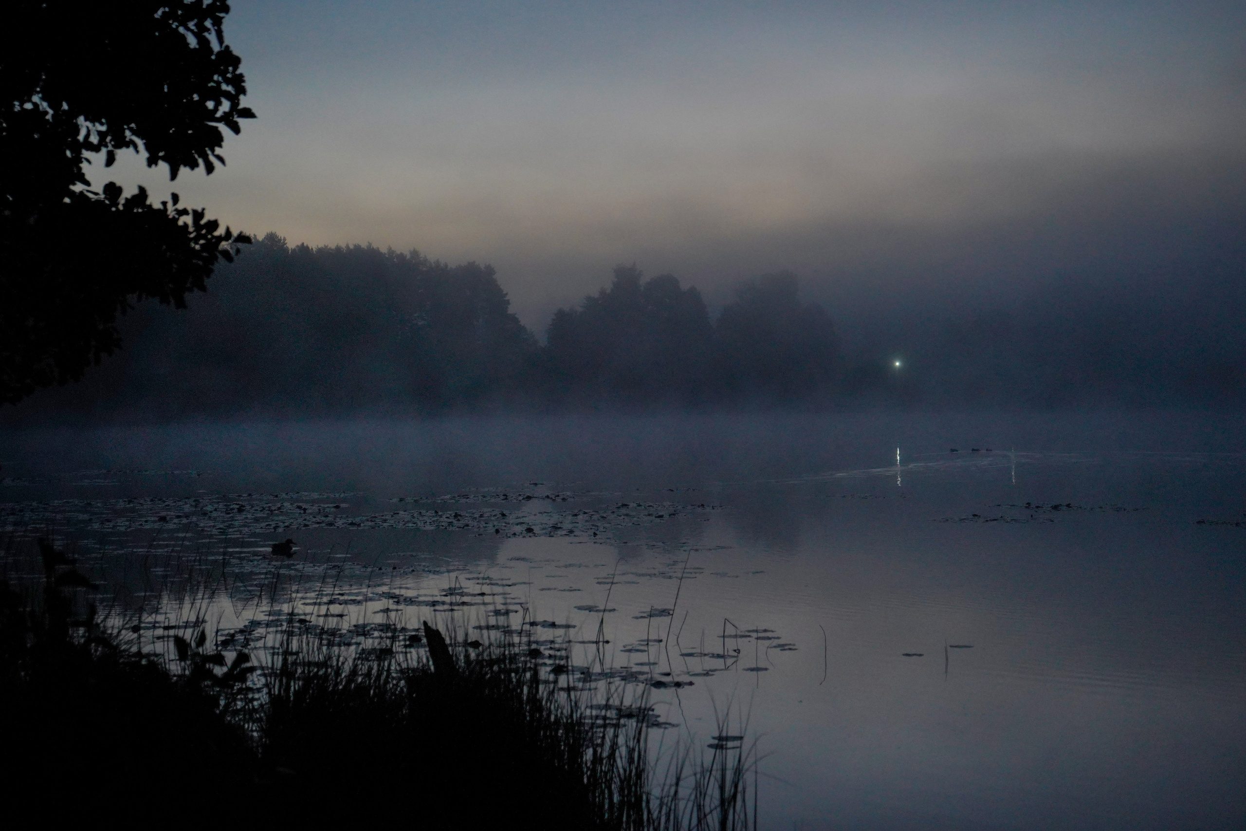 Разное. Фотограф в Санкт-Петербурге Виктория Барышникова