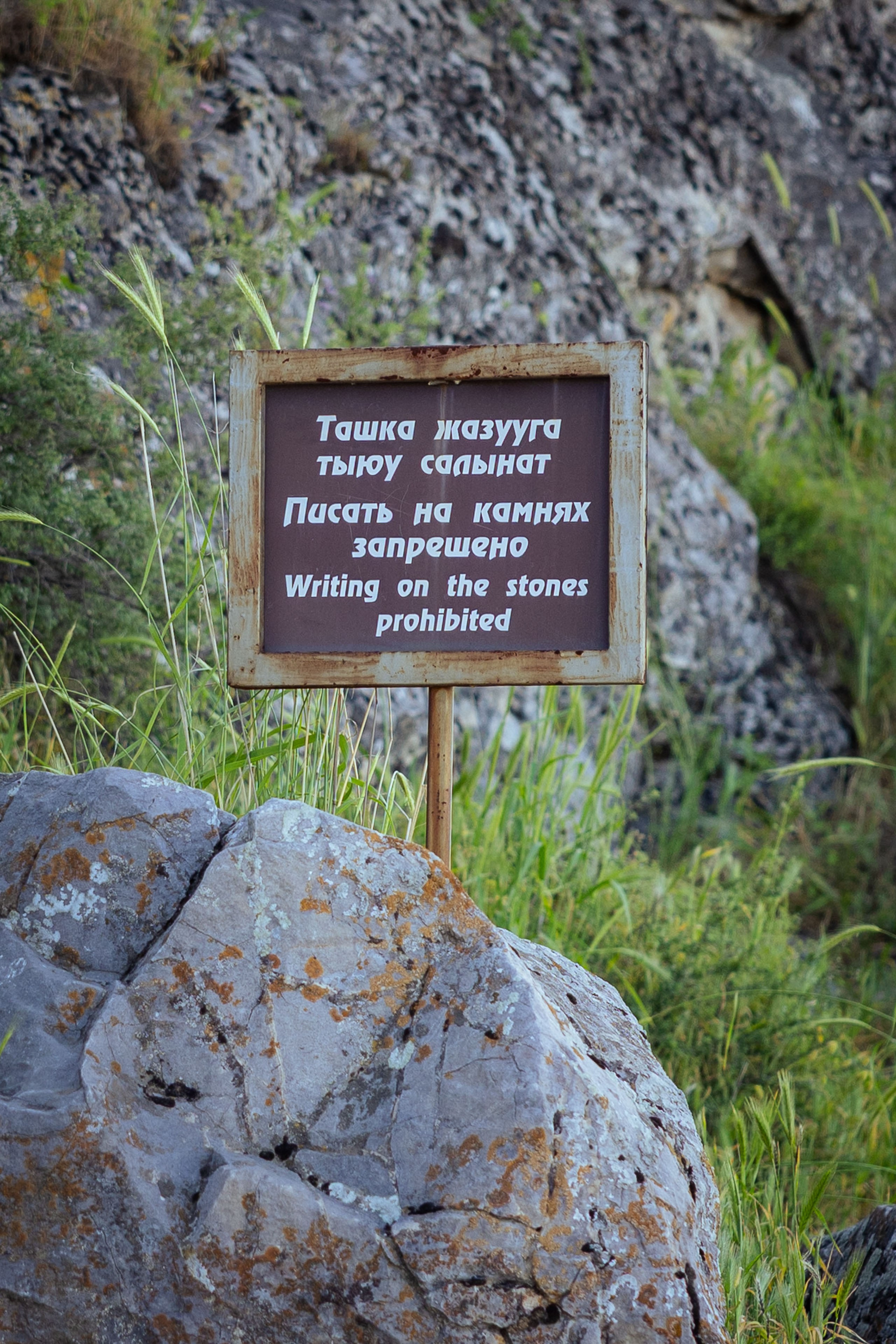 Кыргызстан (весна 2025). Фотограф Виноградов Константин