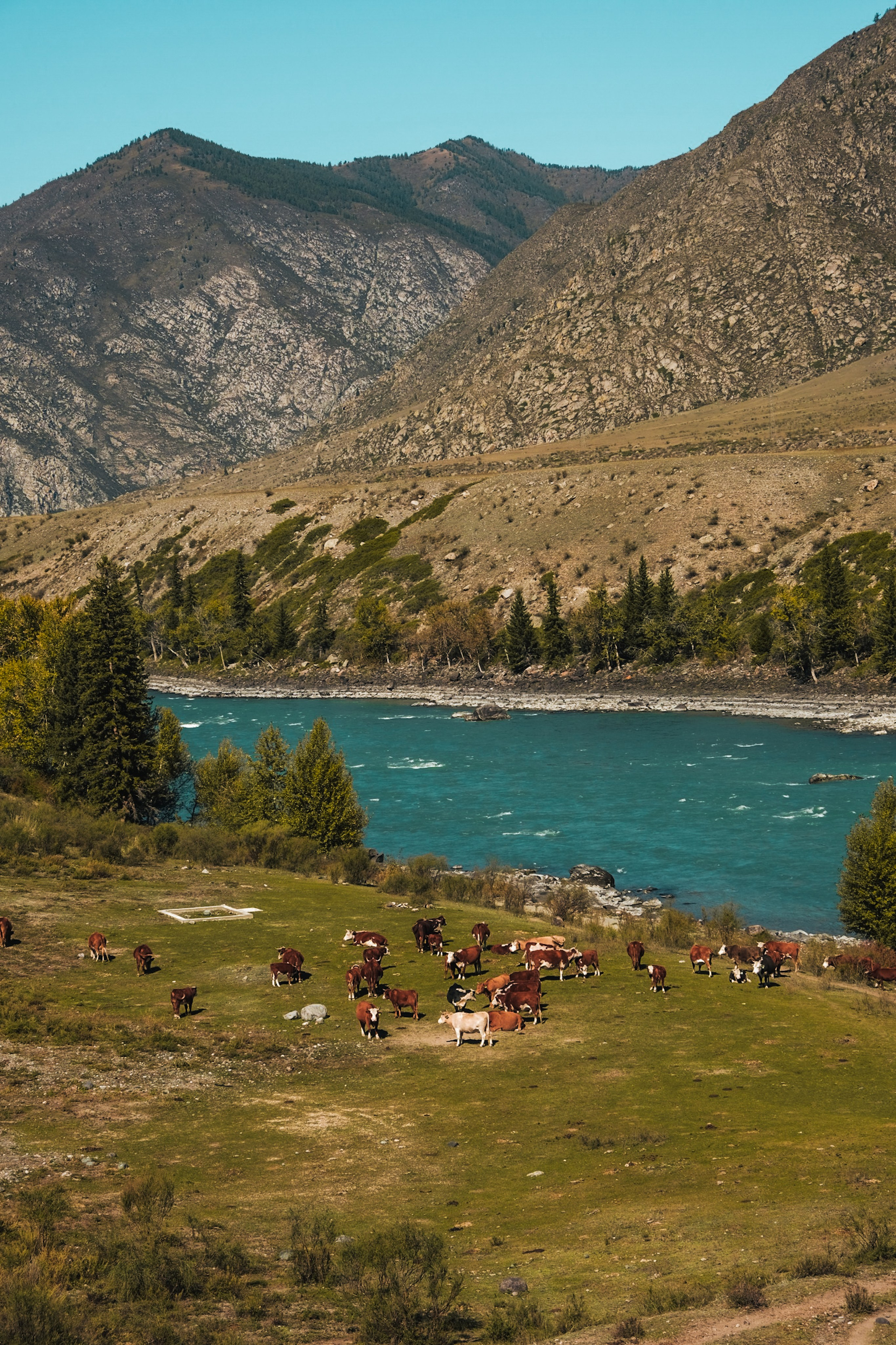 Altai 21'. Фотограф в Тюмени Кирилл Марфин