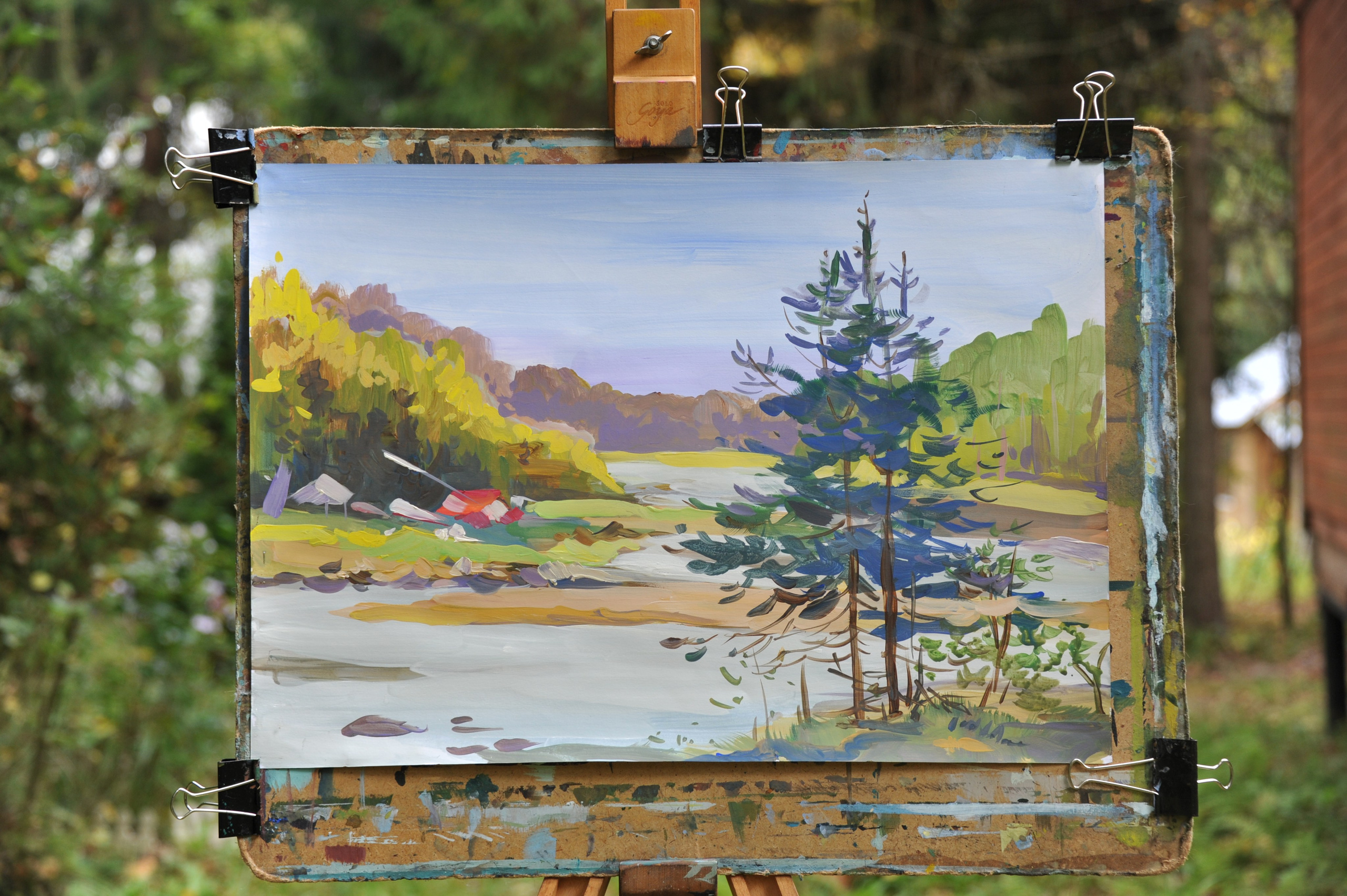 Беломорье. Ефремова Ольга. Художник