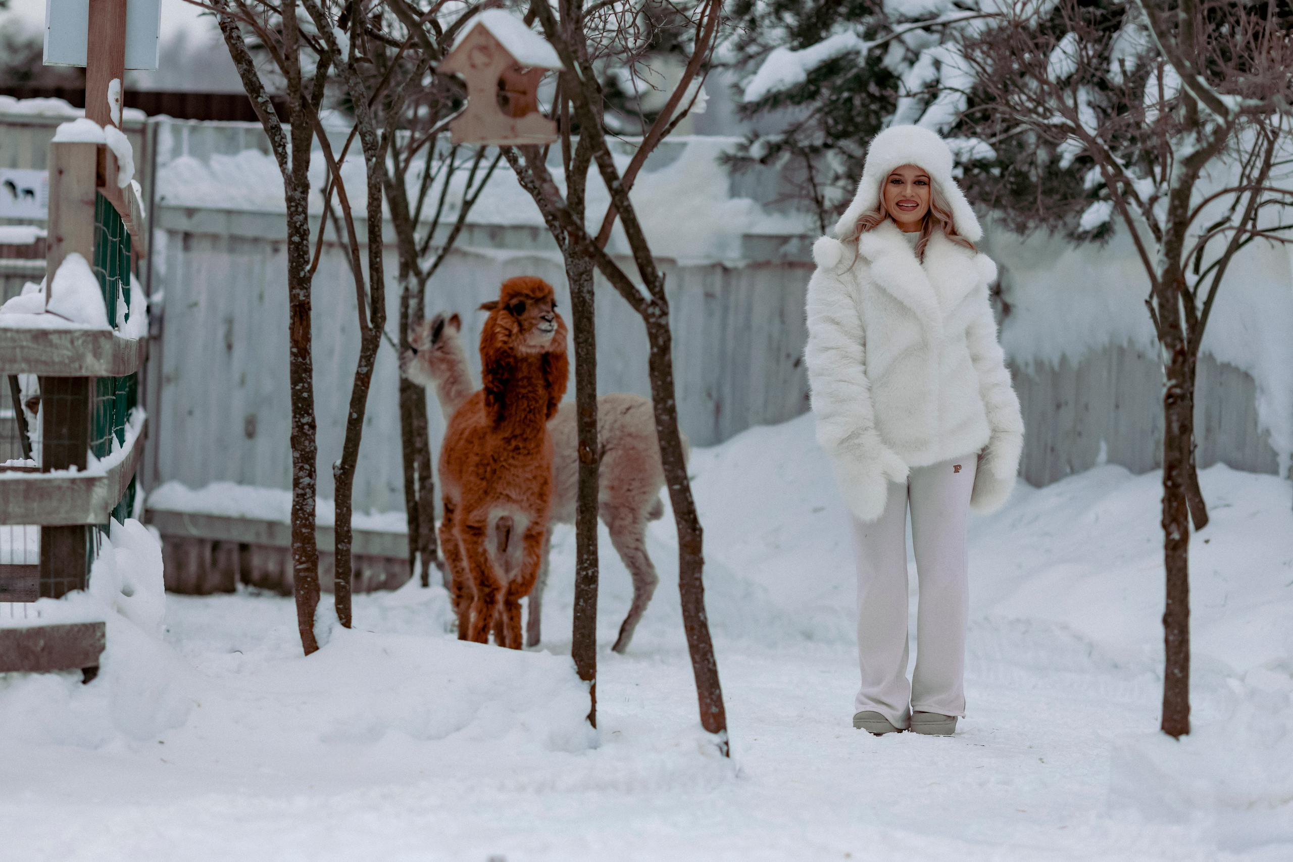 Алина. Детский и семейный фотограф Евгения Вахнеева Москва Зеленоград