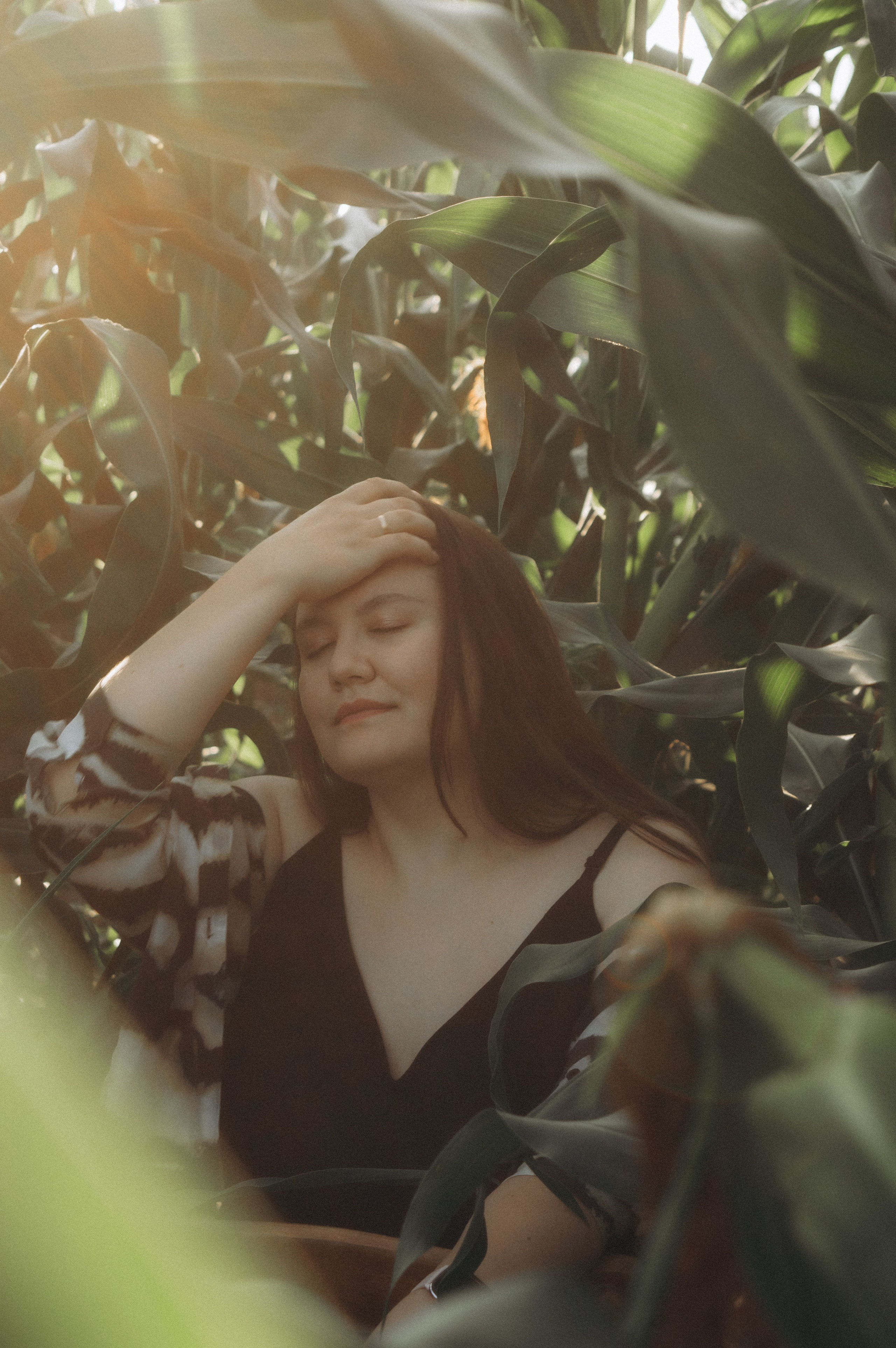 Аня. Фотосессия на кукурузном поле. Юлия Левада Семейный и женский фотограф