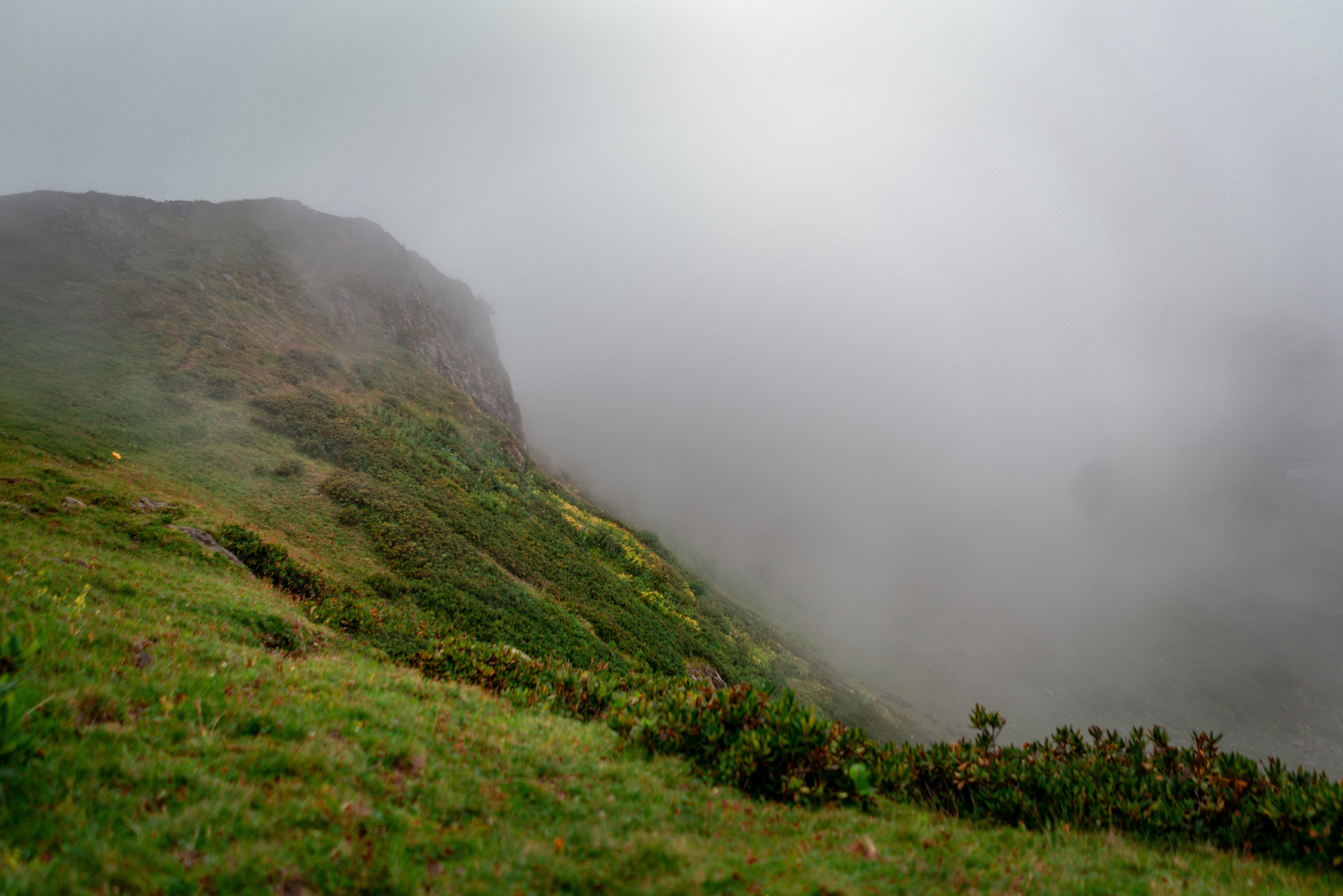 Сочи. Фотограф Александра Волкова | Волгоград