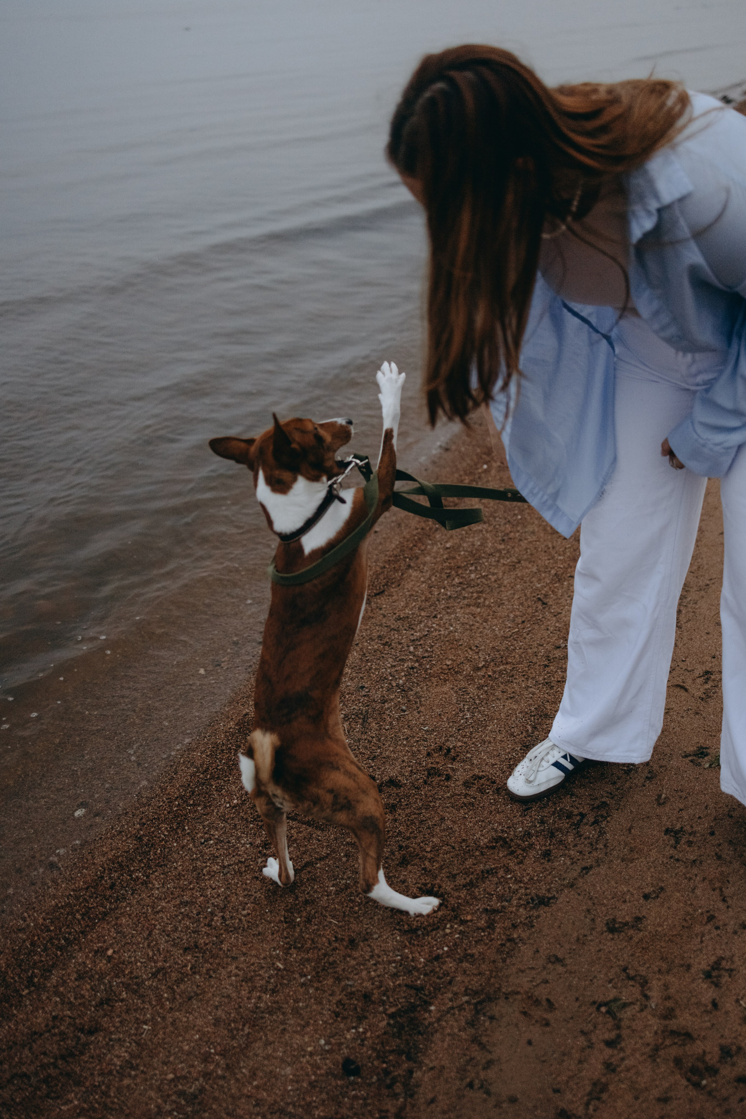 Даша и Арчи. Фотограф — Анималист | Санкт-Петербург