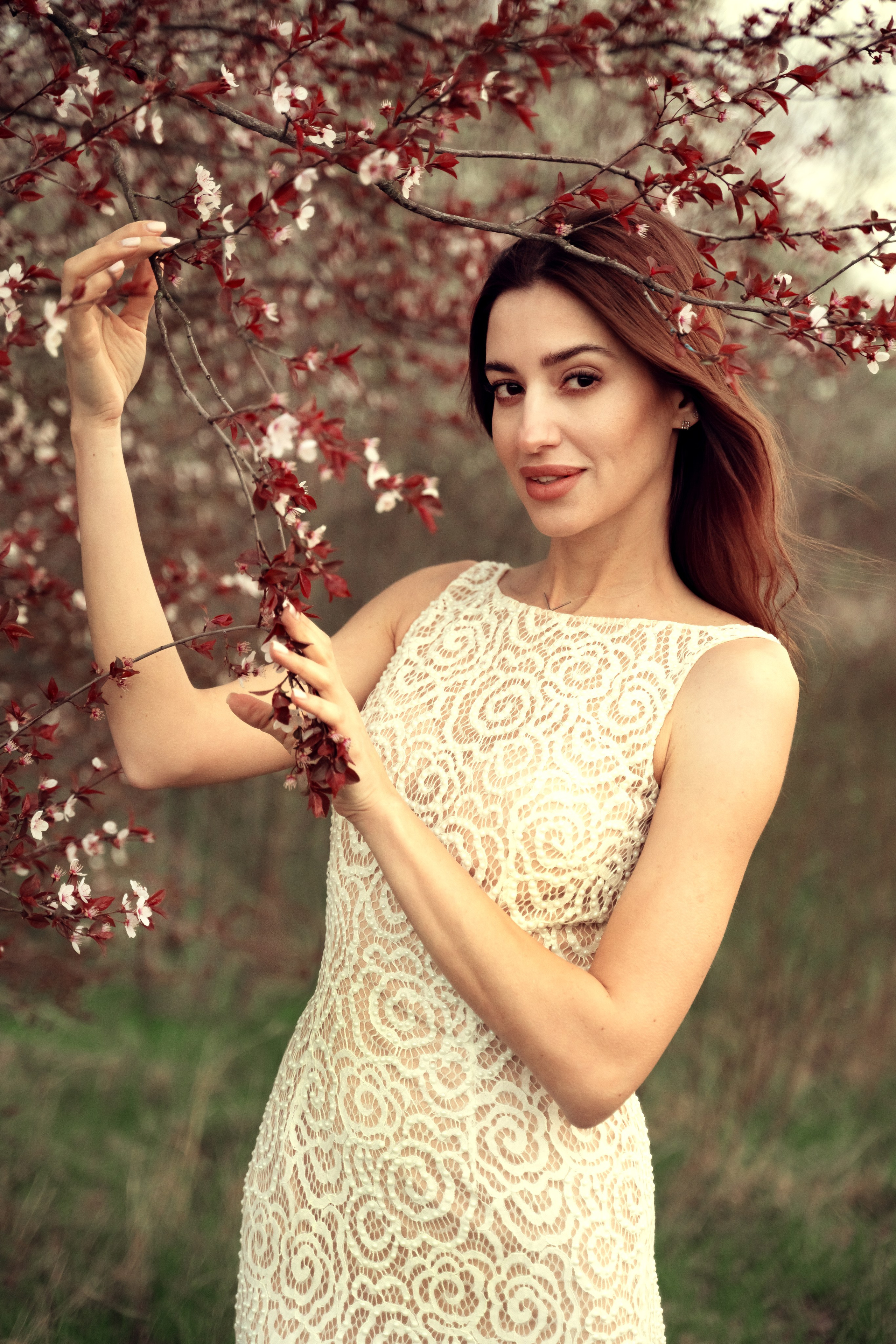 Смешанное цветение и зелень. Главная