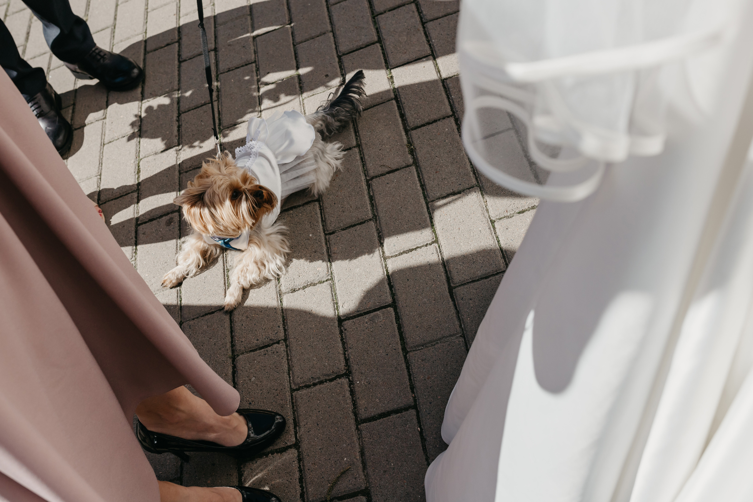 Евгений и Даша. Свадебный фотограф в Санкт-Петербурге Игорь Бабенко