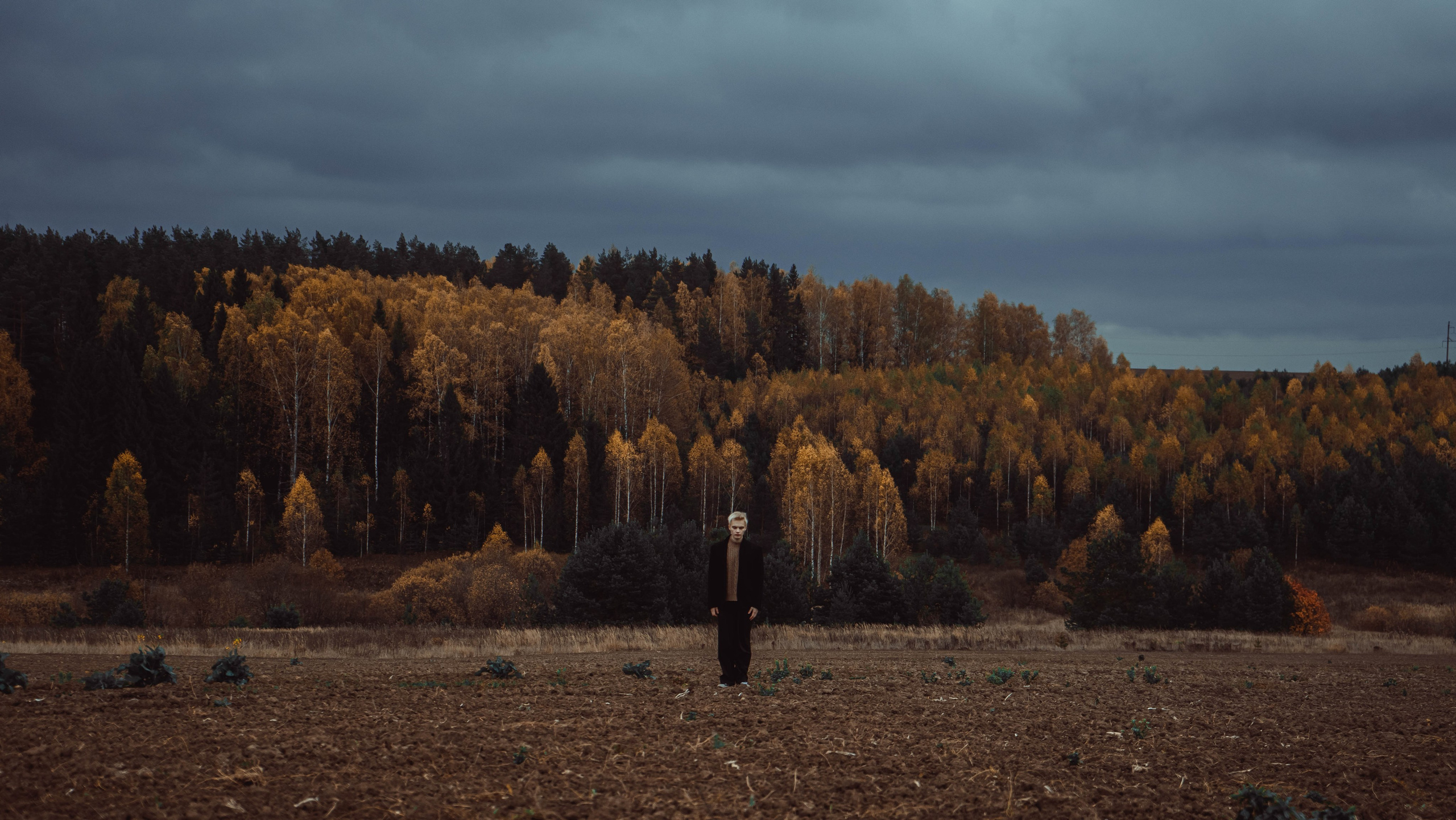 CLIP CREATOR, PHOTOGRAPHER