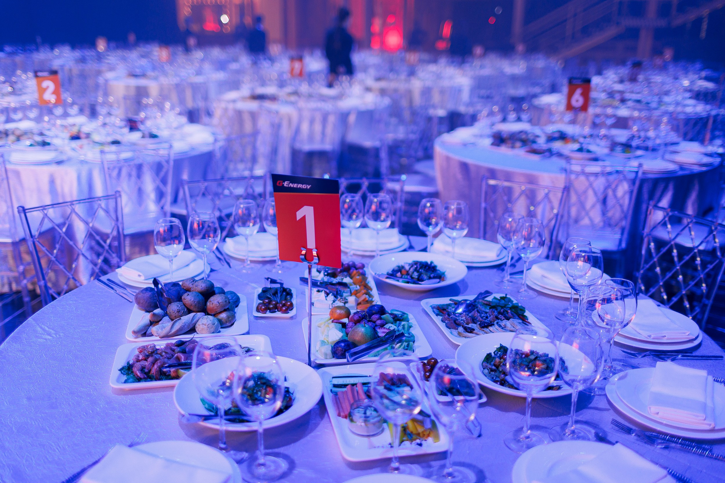 Дистрибьюторская конференция «Газпромнефть-СМ». Алексей Соколов. Фотограф. Санкт-Петербург