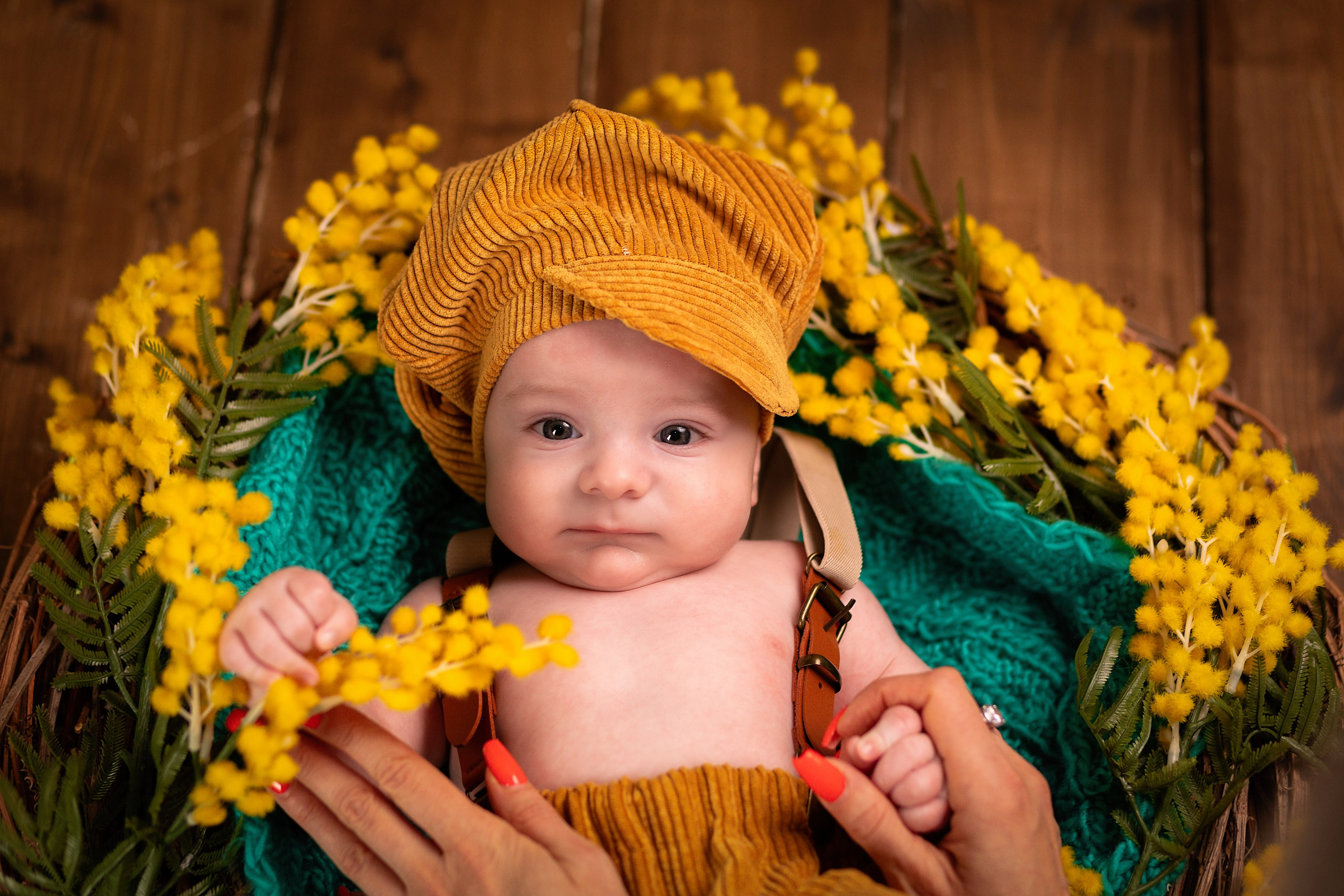 Весенний фотопроект с тюльпанами и мимозой. ФОТОГРАФ НА ГОДИК, БЕРЕМЕННОСТИ, НОВОРОЖДЕННЫХ, КРЕЩЕНИЯ МОСКВА