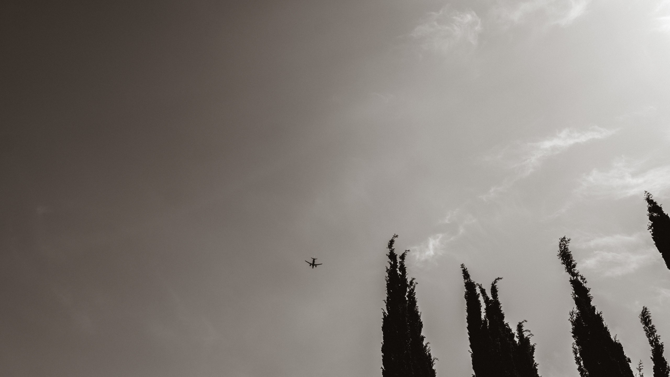 Прогулка в Сочи. Фотограф и Видеограф Анапа, Новороссийск, Краснодар. Алина и Женя