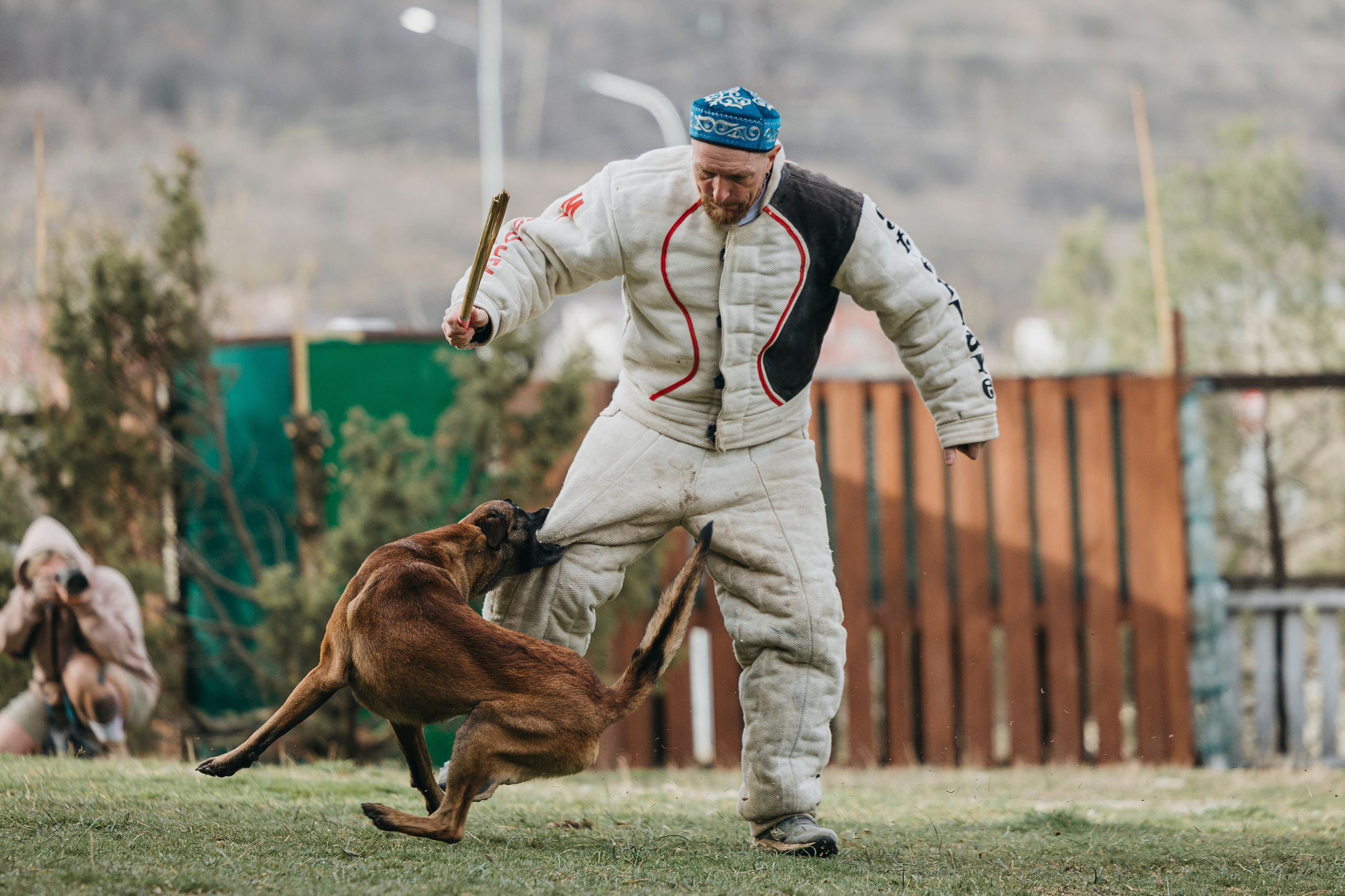 Геленджик Мондьоринг. Фотограф-анималист Анна Маринич