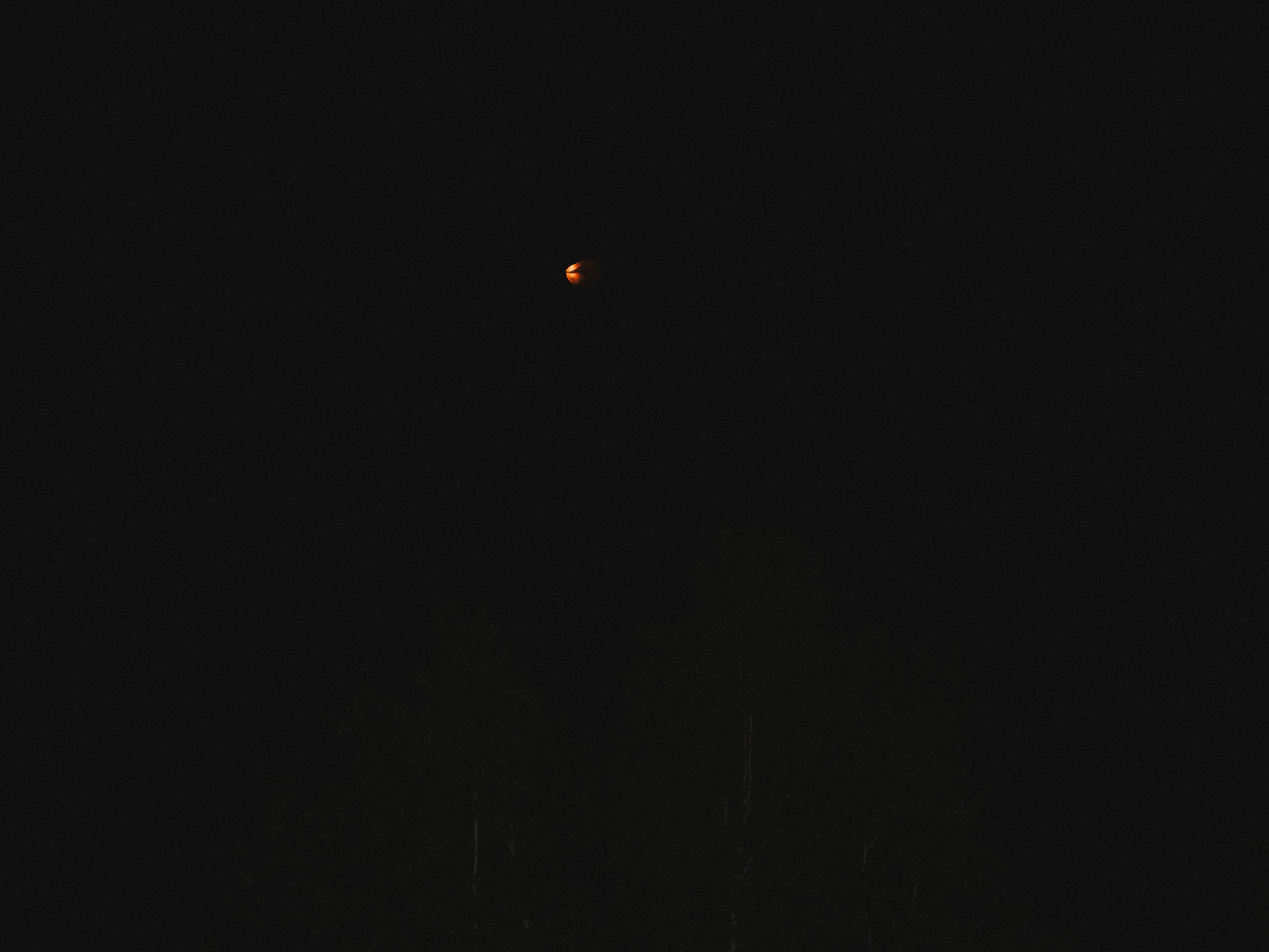 Люби. мечтай. твори. Свадебный фотограф казань / организатор фото туров для фотографов Пивоварова Айгуль