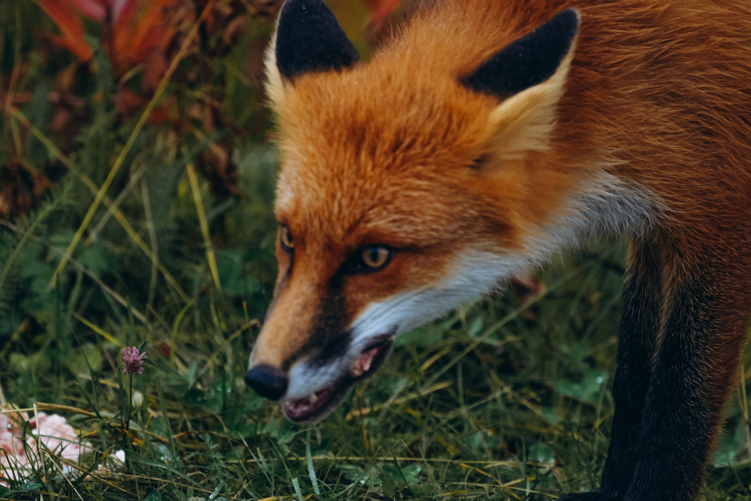СЕВЕР. Event фотограф Степанова Александра