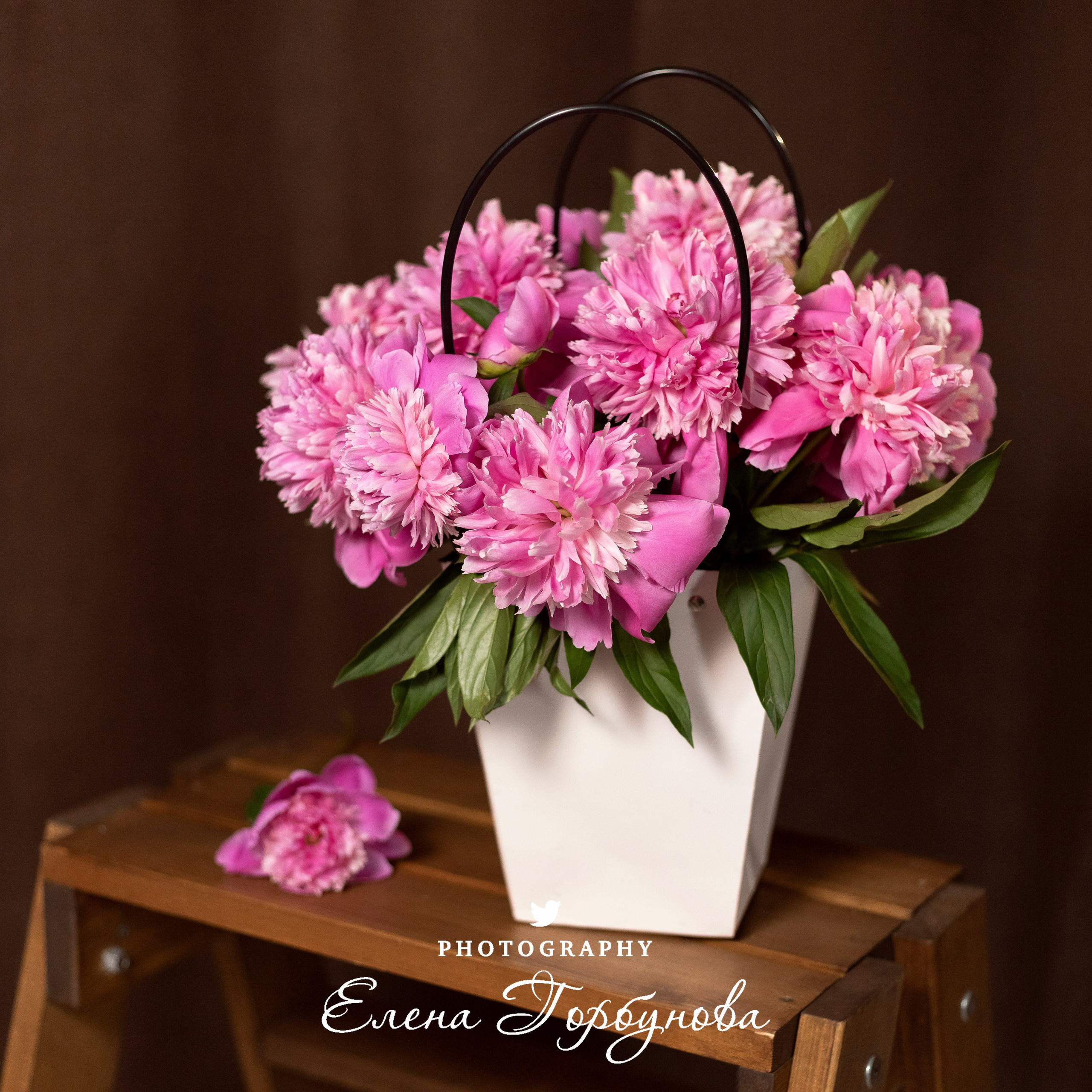 «Модница в розовом» В моей студии. Вероника и Александра. 2024. Фотограф Пермь. Свадьбы. Семья и дети, школа, д. сад. Фотокниги