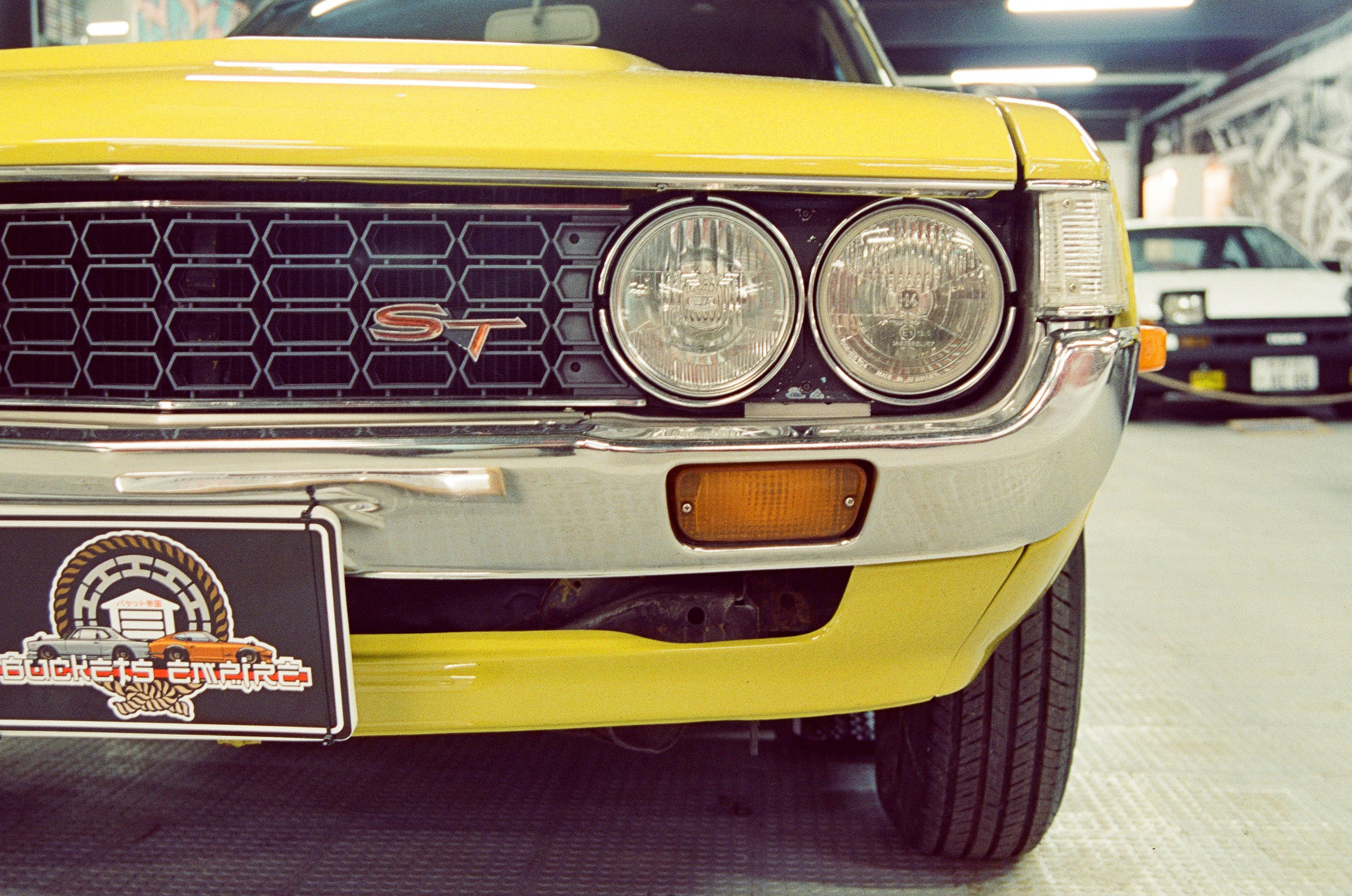 #05пленка. Kodak Vision 3 500T. Minolta Dynax 5. 28-80. Фотограф Наталья Вершинина