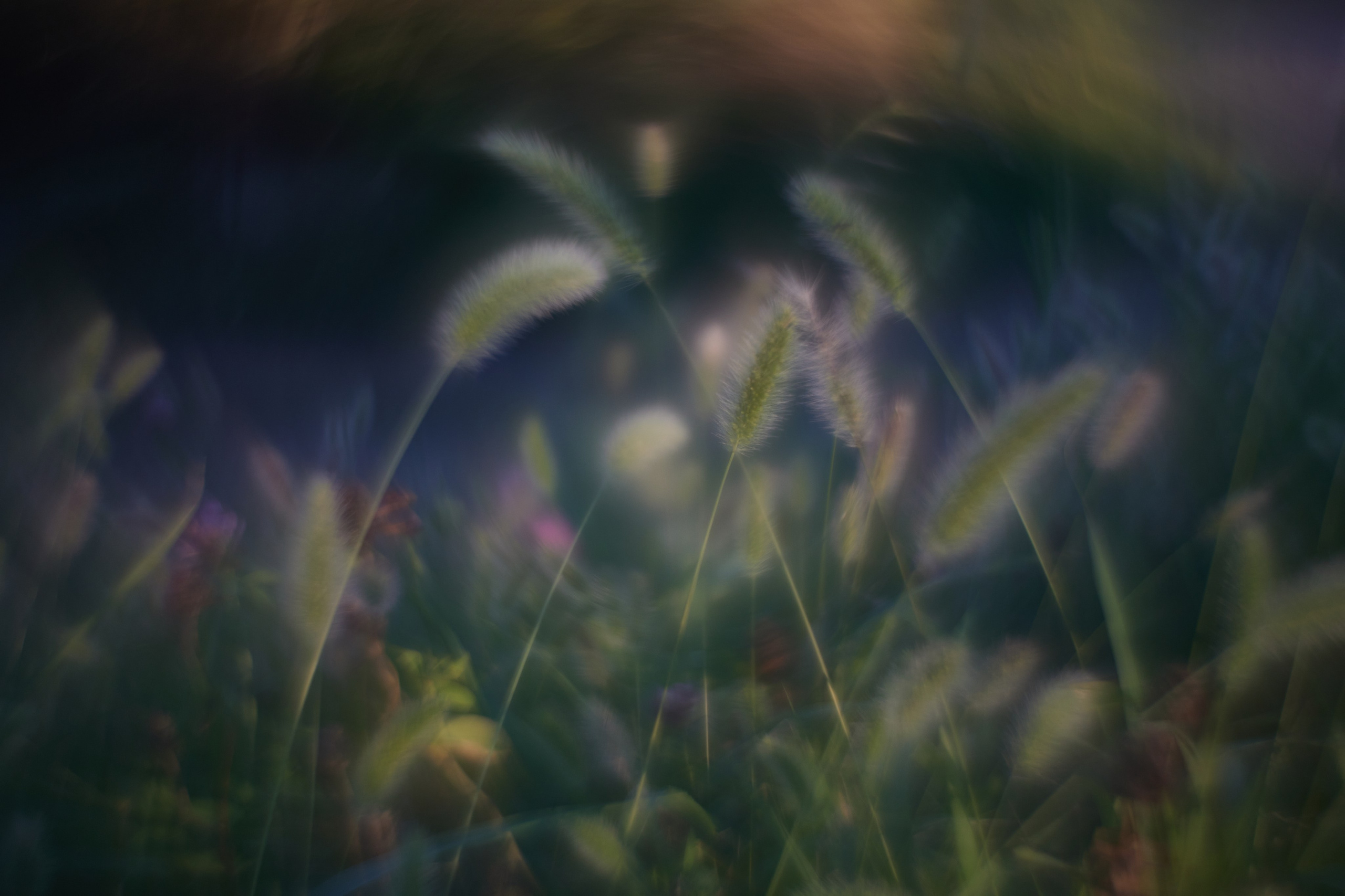 «Незримые Миры». Арт-фотограф во Владивостоке Дмитрий Осипчук