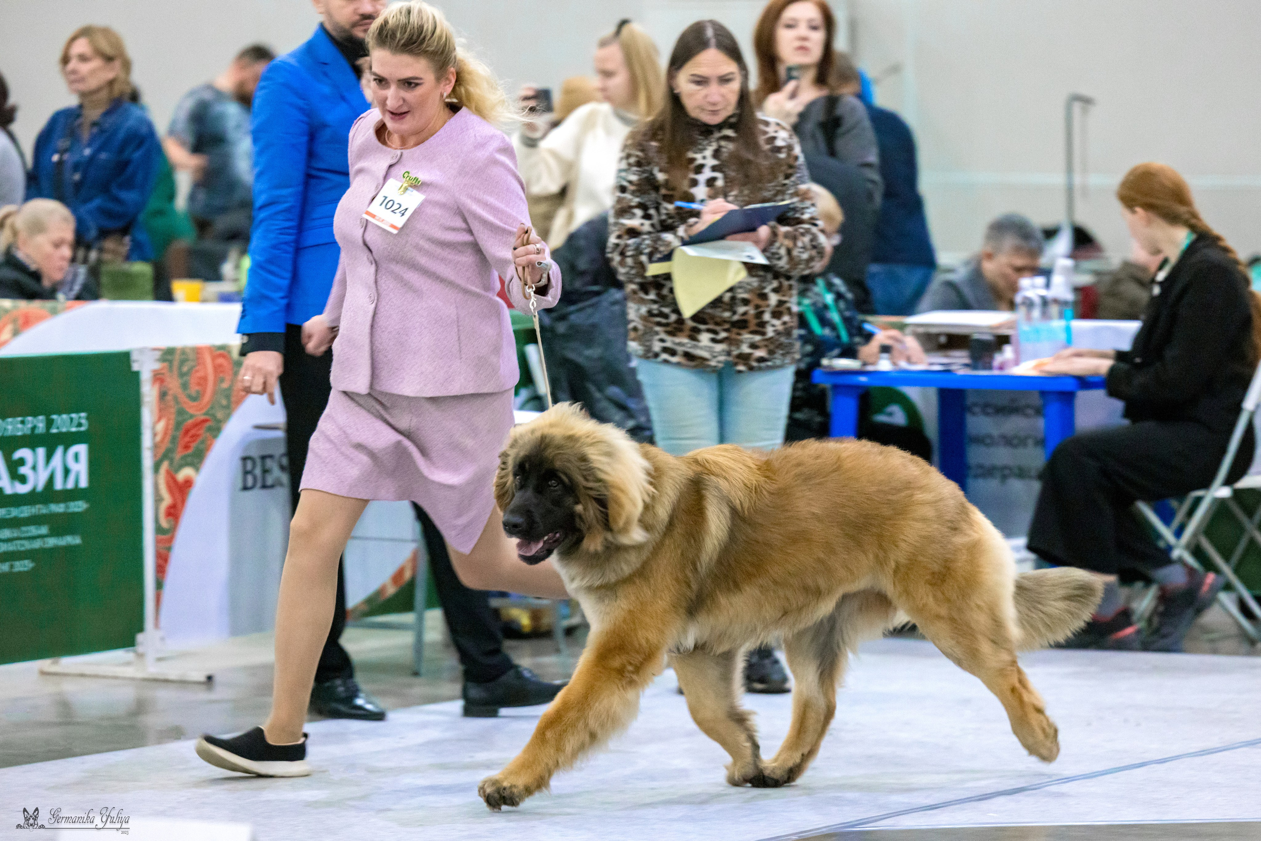 ЕВРАЗИЯ 18-19.11.2023. Фотограф-анималист Юлия Германика