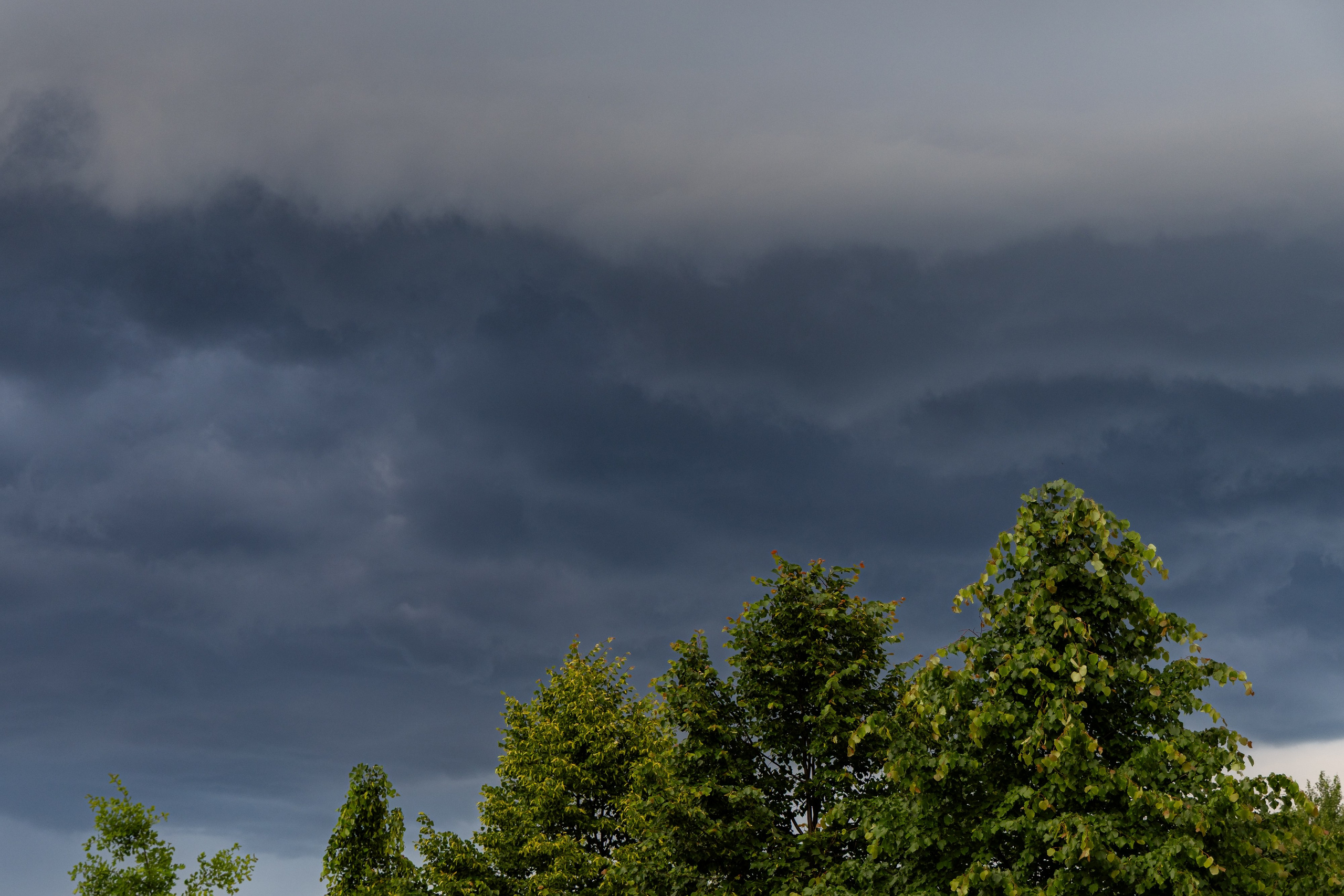 Школьный выпускной 2025 год в Минске, Беларуси. Свадебный фотограф в Минске/Беларуси Сергей Спиридонов