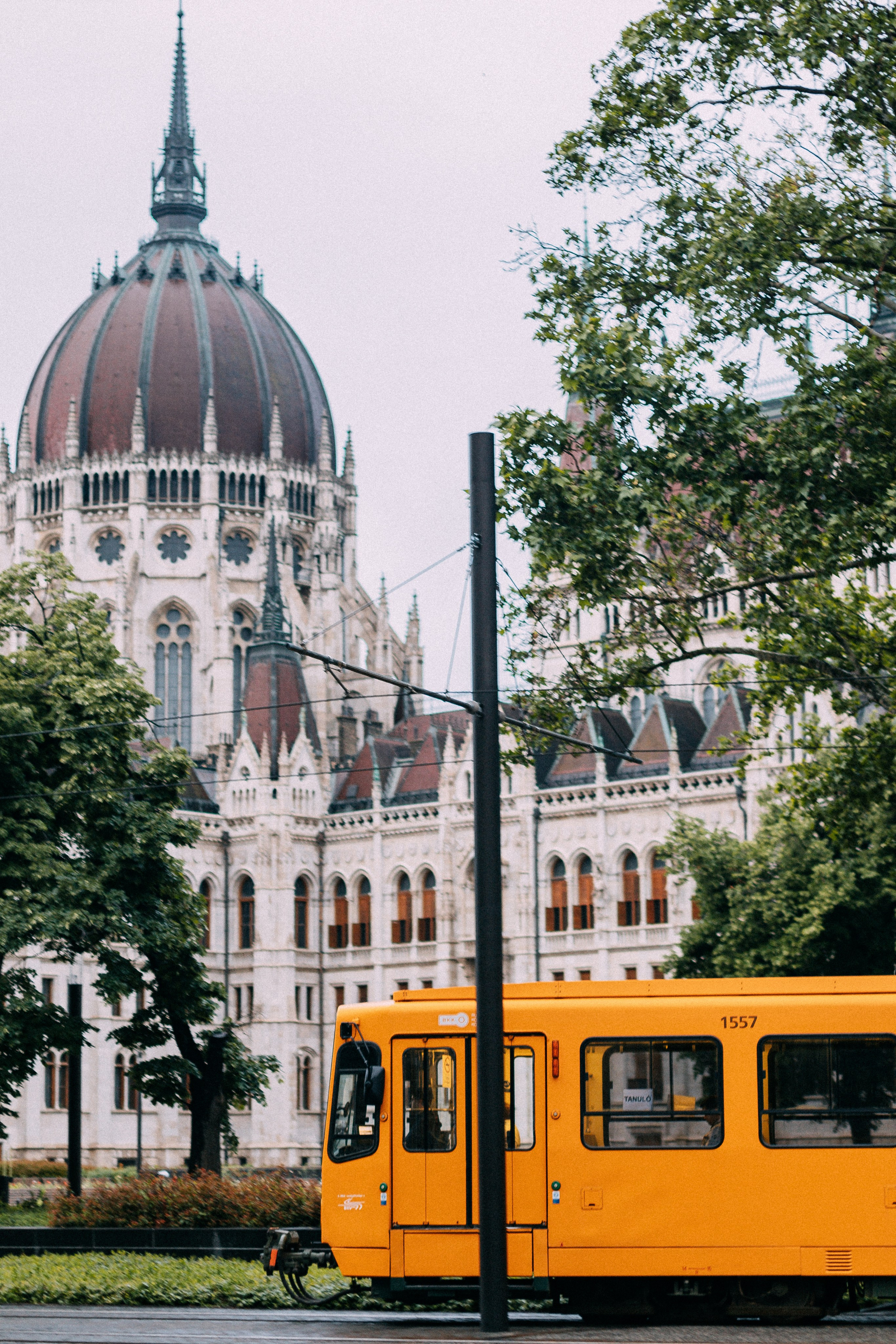 Будапешт. Аня Степанова