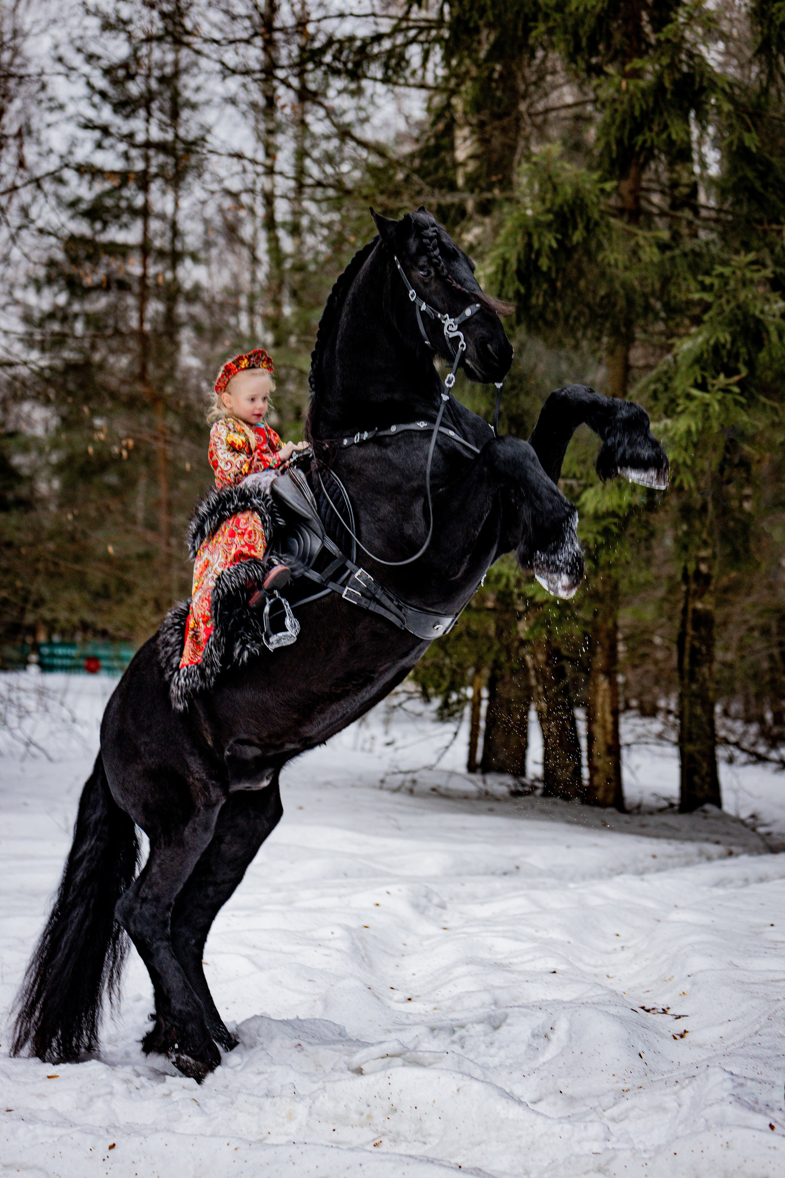 Семейные и детские фотосессии. Фото и видео Москва, Московский. Свадебный фотограф, видеограф, фотосессии, видеосъемка