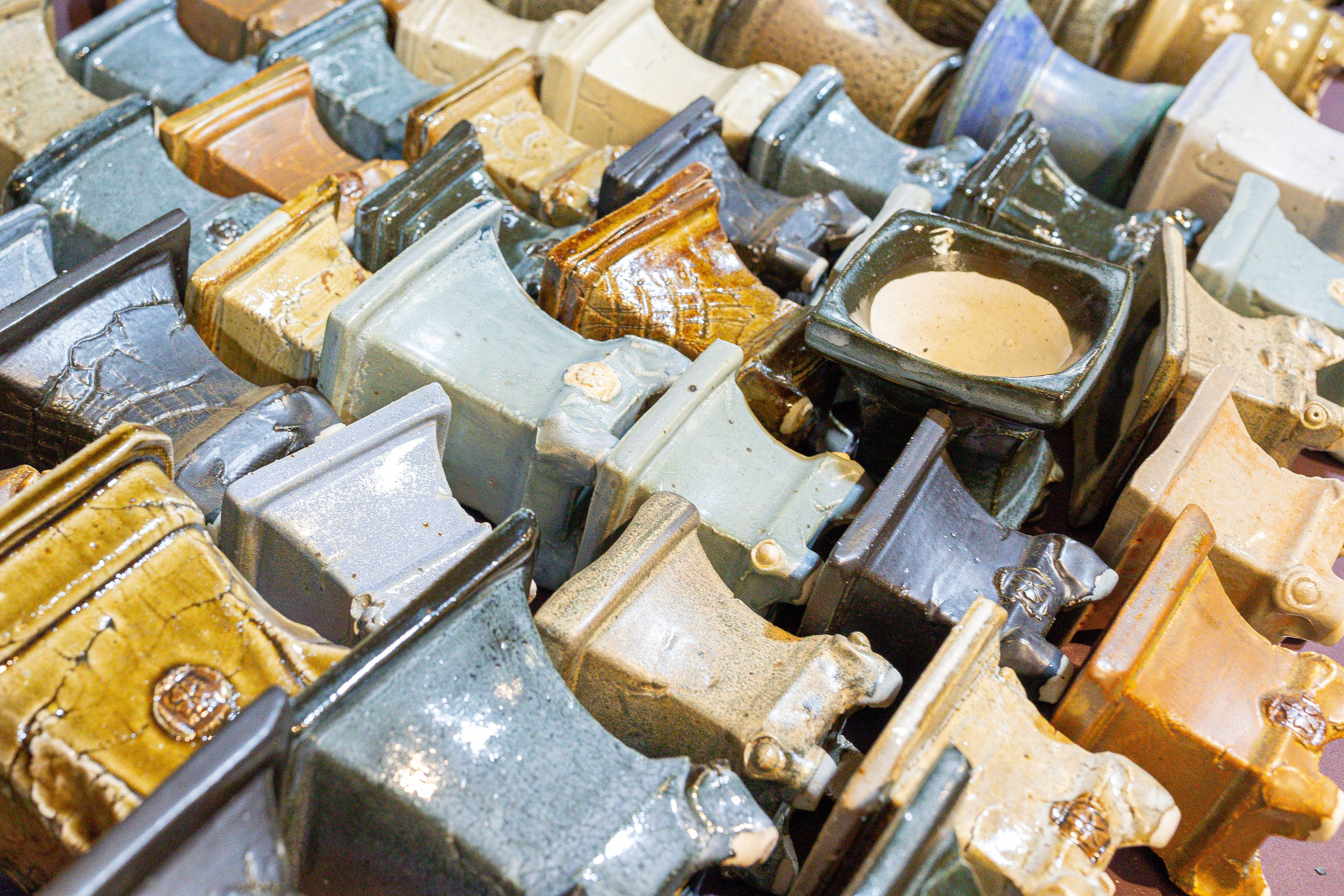 Кактус Фест. Александра Куликова фотограф, Москва