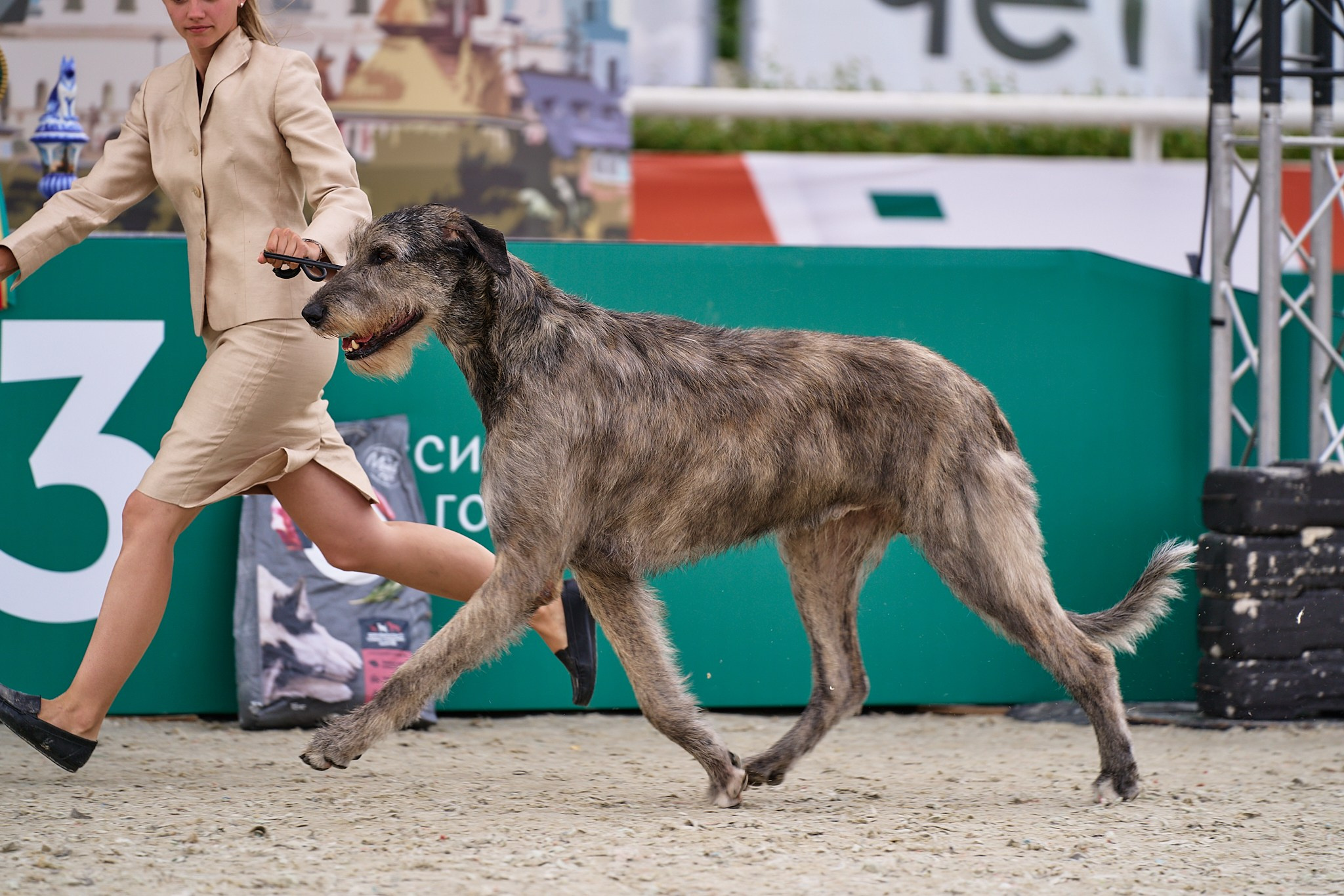 09.06.2024, «РОССИЯ. КУБОК МОСКВЫ 2024 & КУБОК ГОРОДОВ-ГЕРОЕВ»