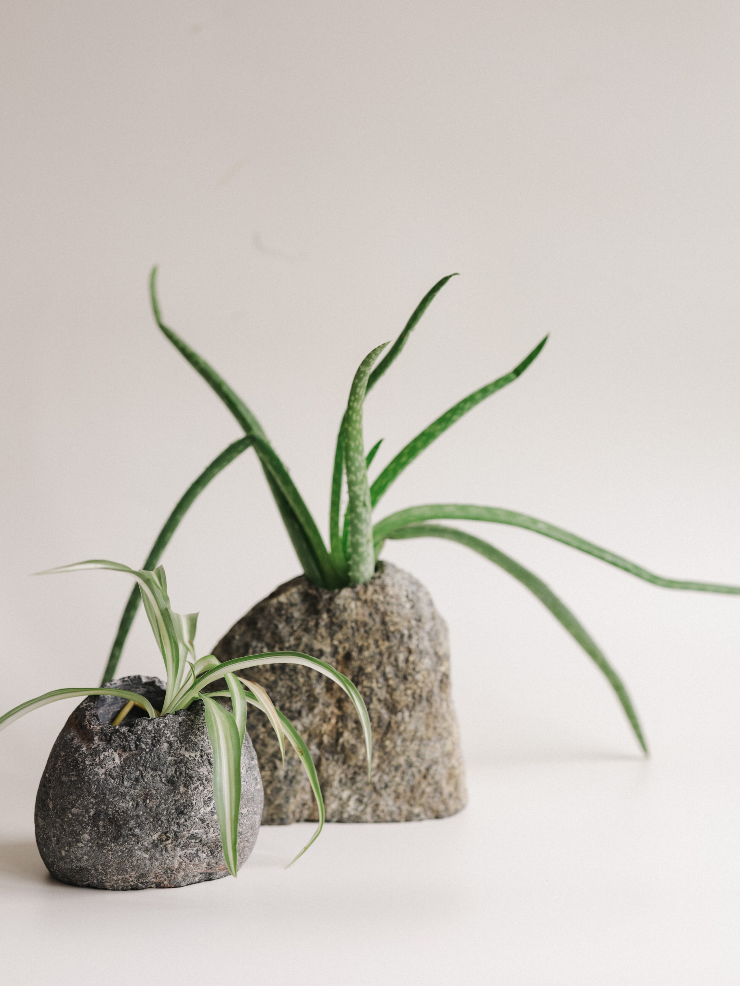 Подсвечники и салфетницы. Алёна Стерхова — Предметный и портретный фотограф. Ижевск