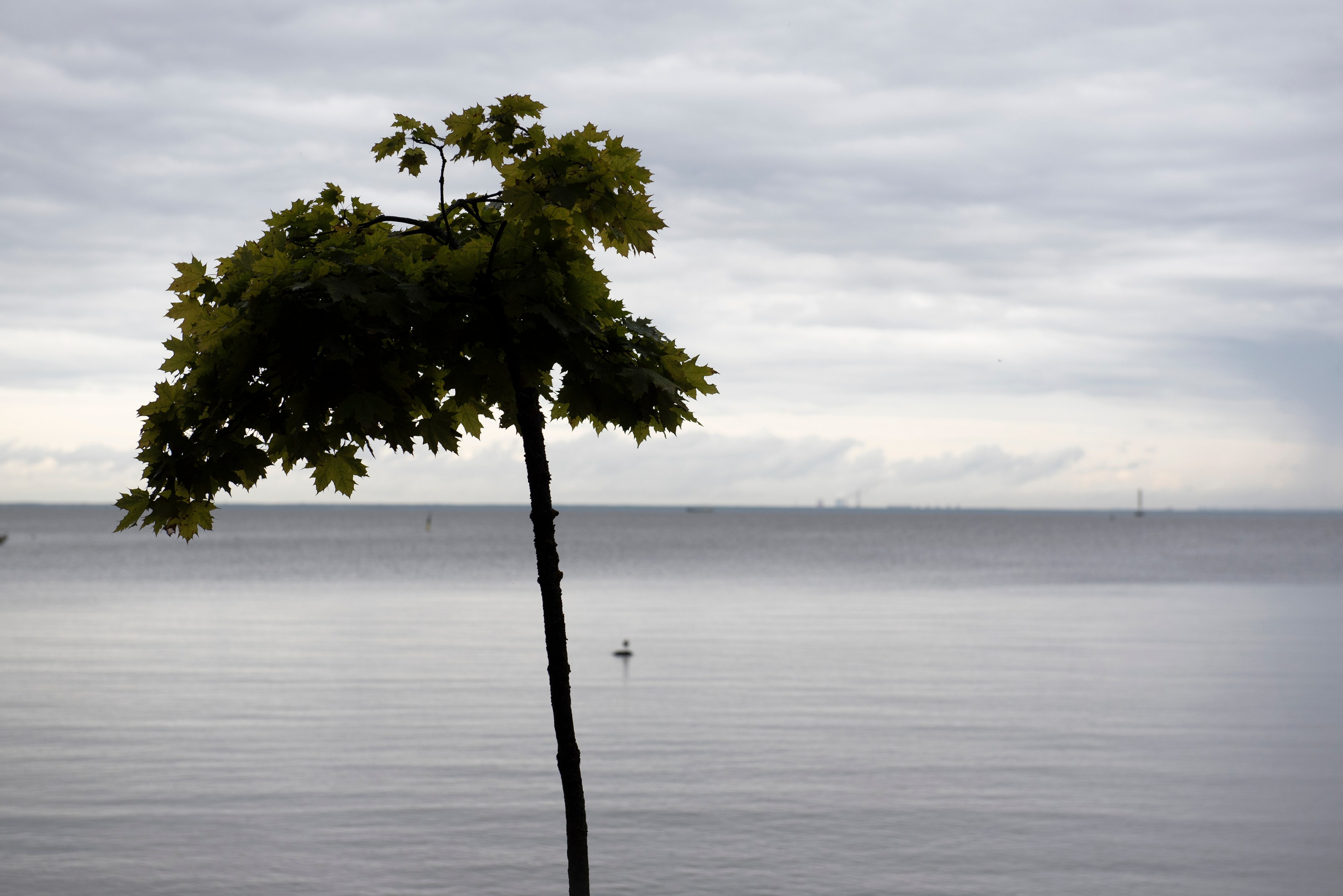 Петергоф. Портретный и архитектурный фотограф в Москве и Санкт-Петербурге