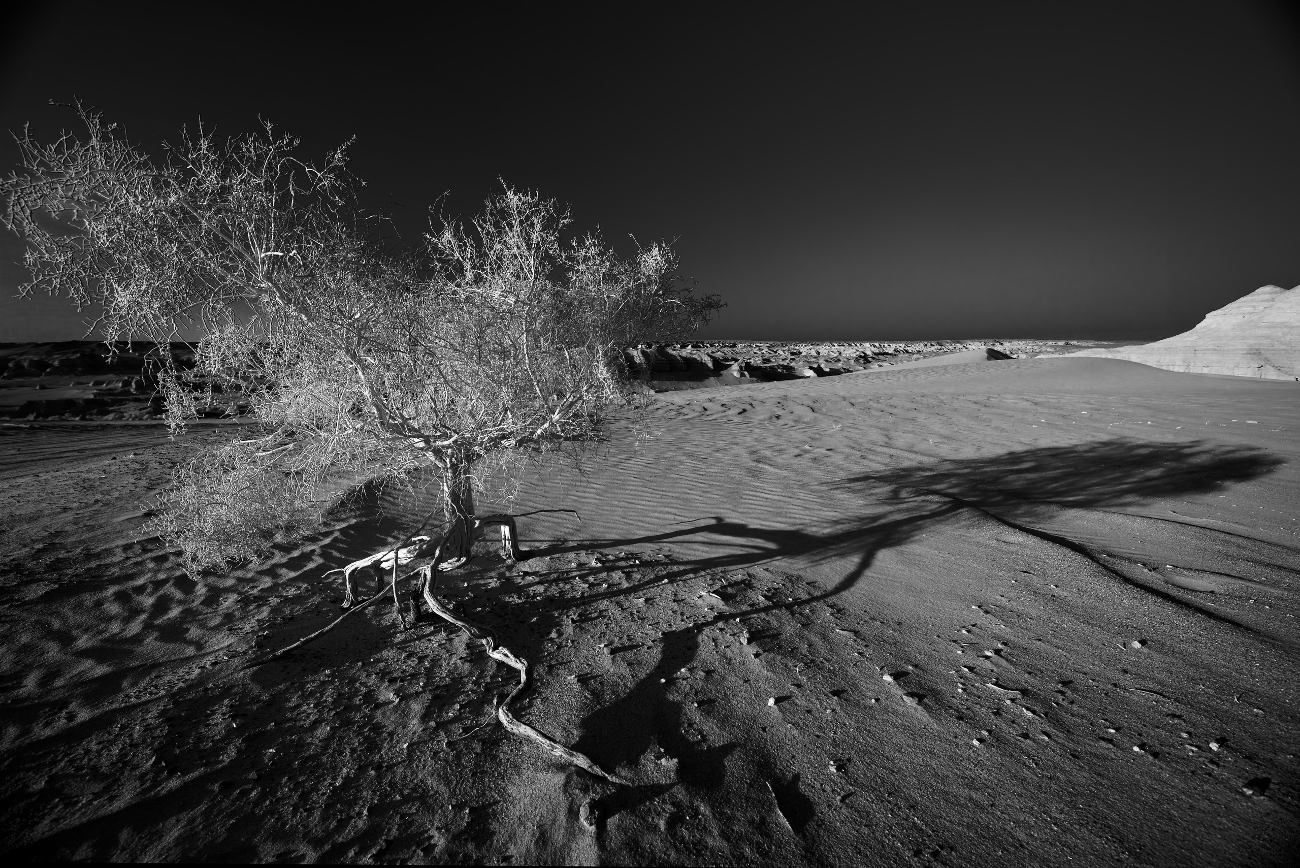 Экспедиция в Монголию (Гоби). Семоха Валерий. Фотограф