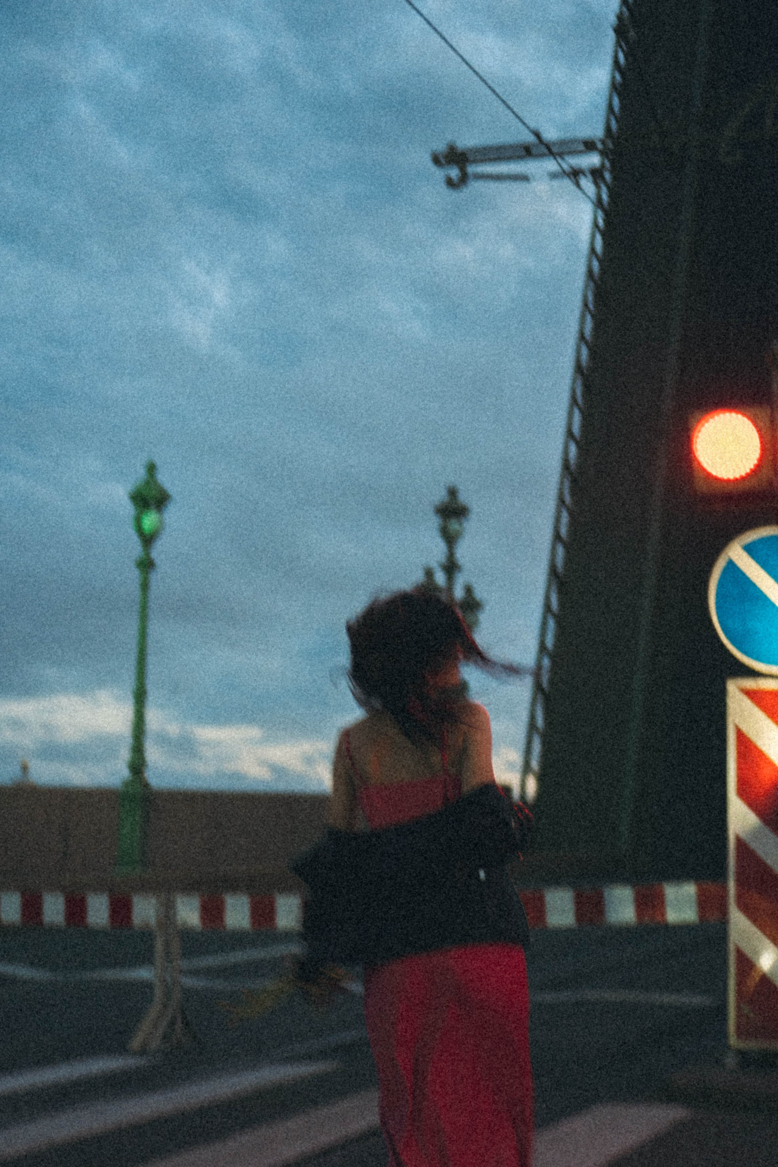 Ночная серия. Профессиональный фотограф, Санкт-Петербург — Виктория Богомолова