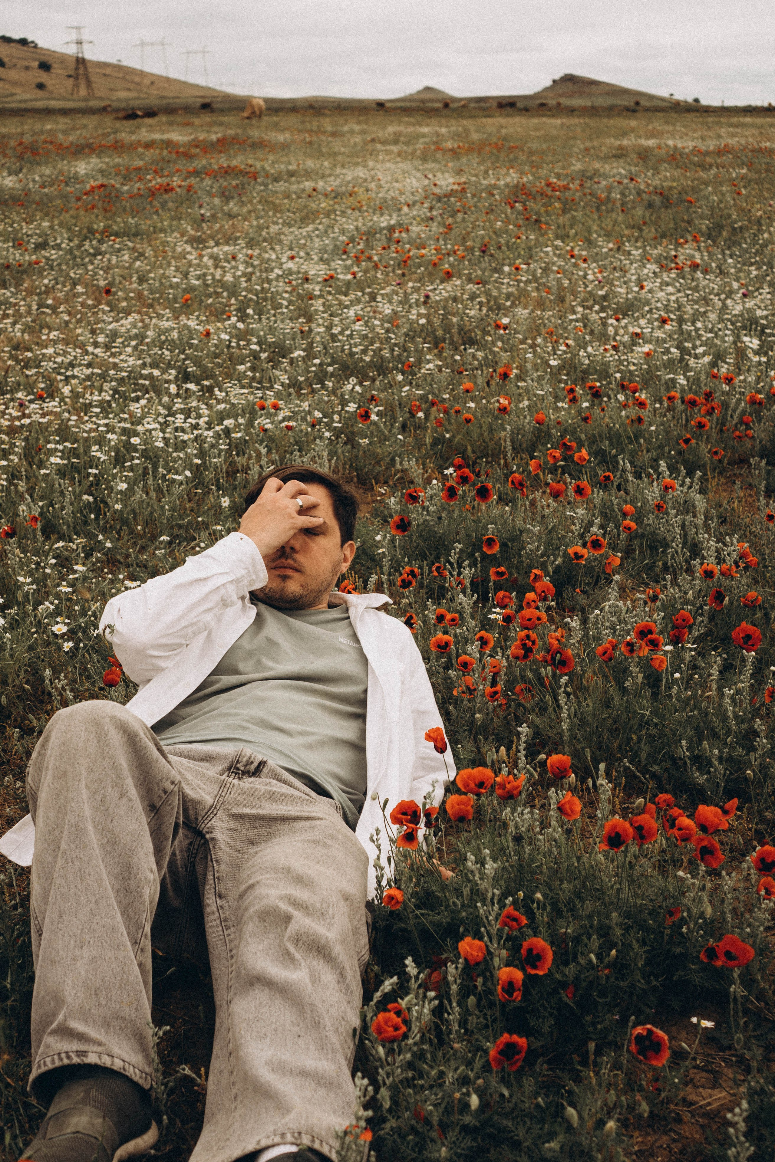 Маки. Профессиональный фотограф, Санкт-Петербург — Виктория Богомолова