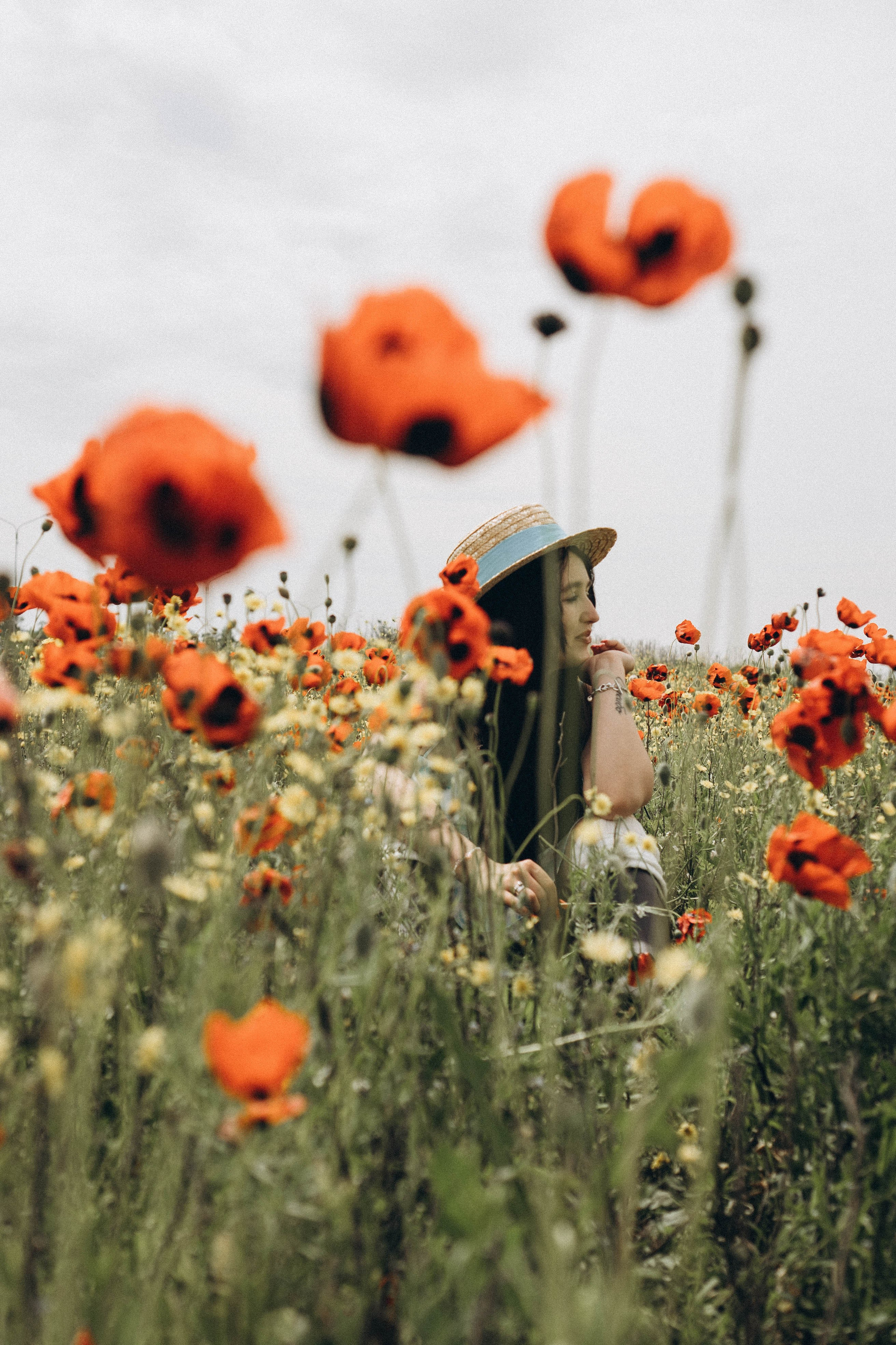 Цветочная поляна. Профессиональный фотограф, Санкт-Петербург — Виктория Богомолова