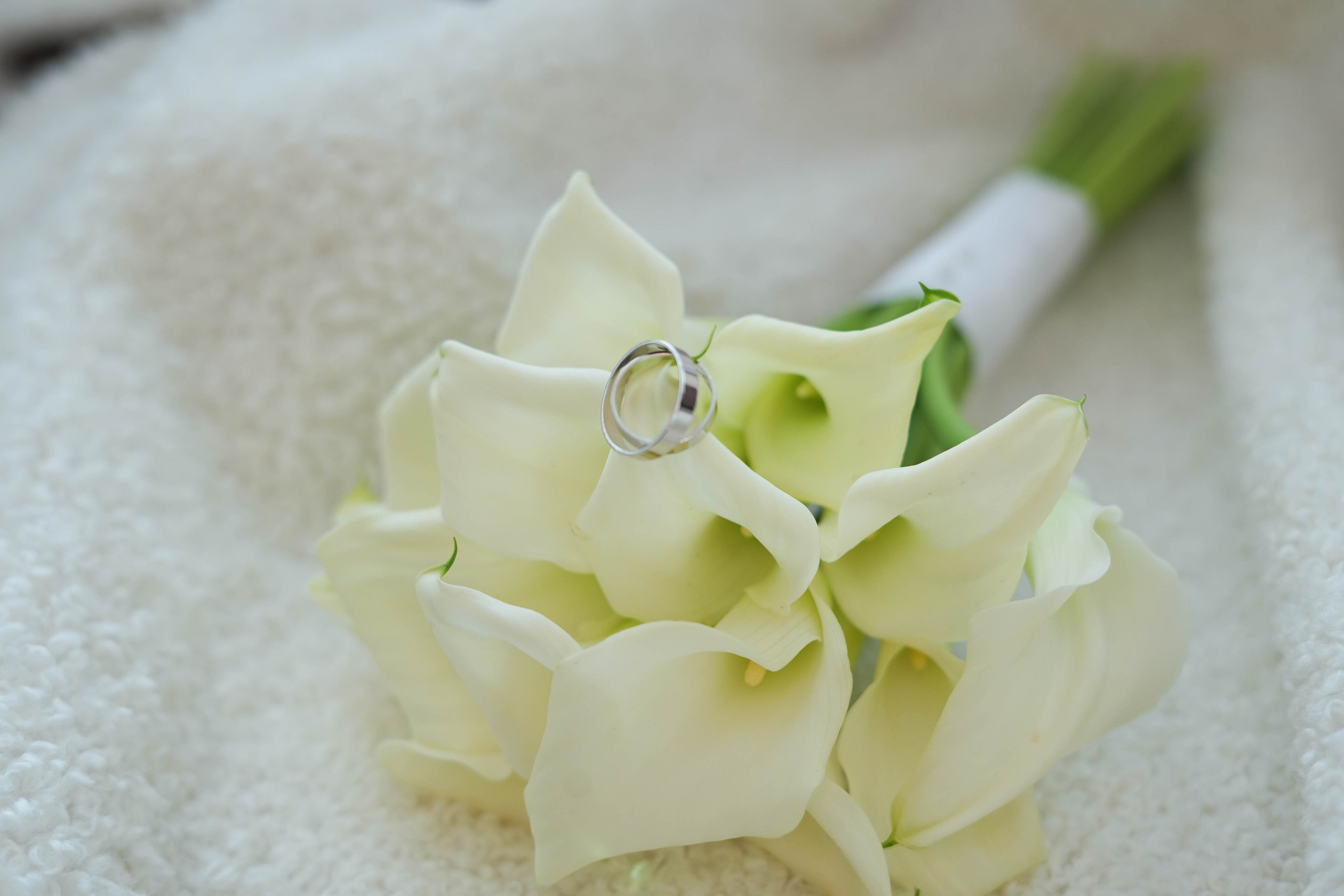 Лена+ Илья. Фотограф Волгоград Анастасия Ли