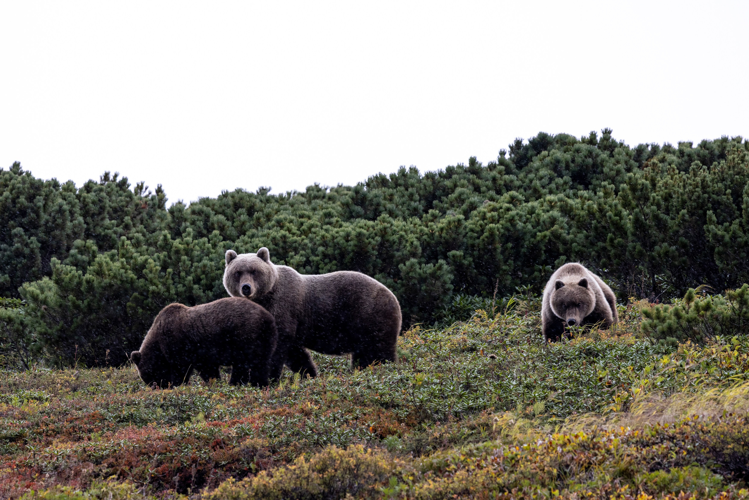 Камчатка + Сахалин — экспедиция в два региона за одну поездку. Время Камчатки: чтобы найти свой путь, нужно скорость умножить на время