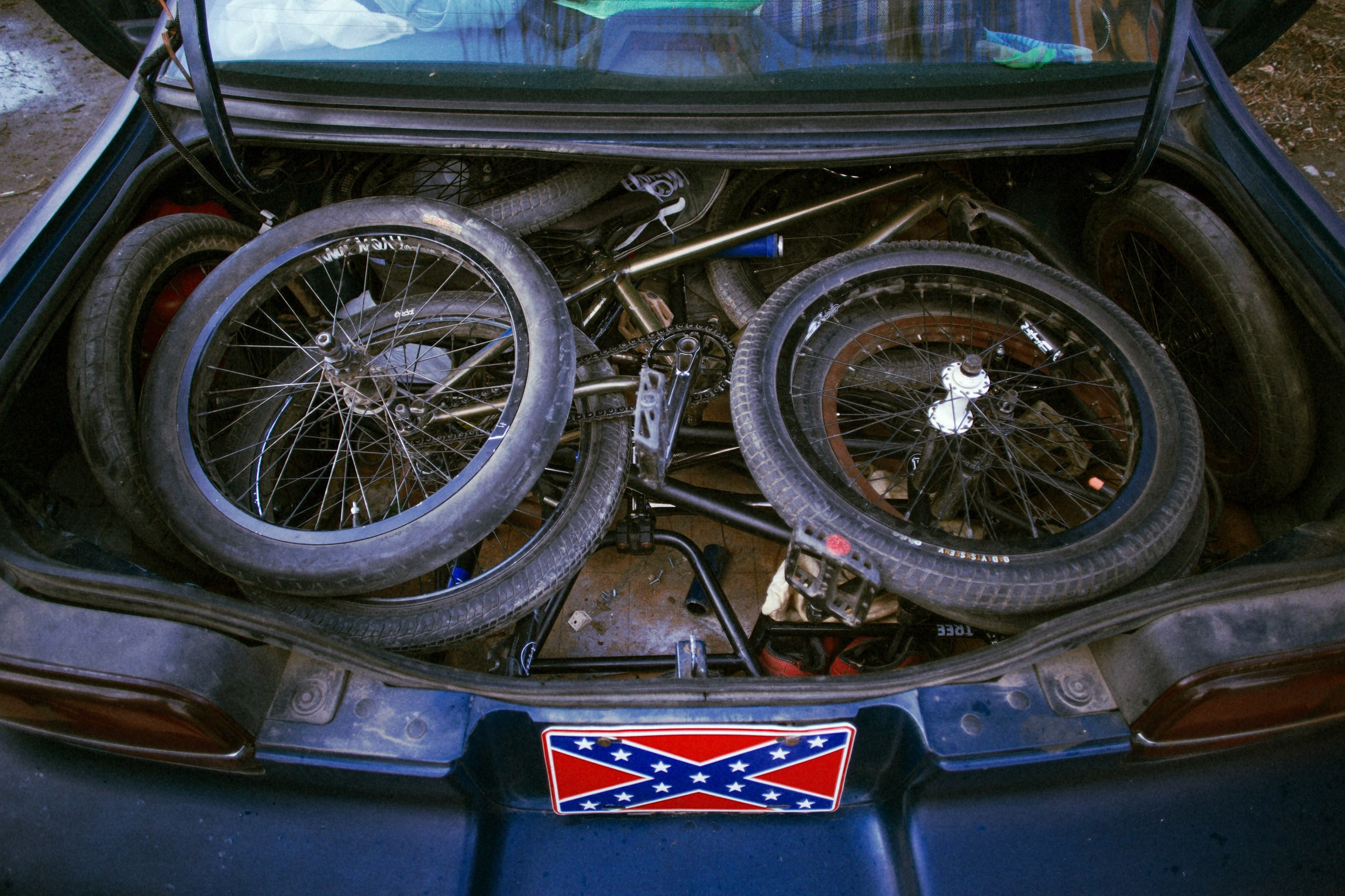 Lifestyle. Bivol images