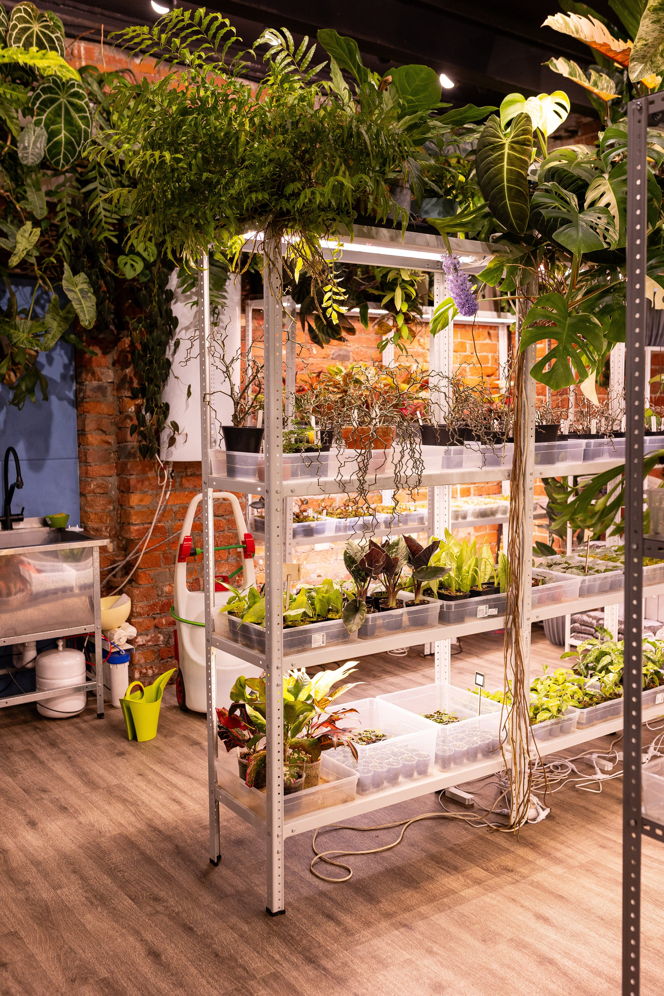 Green_Rare Ярмарка февраль 2025. Александра Куликова фотограф, Москва